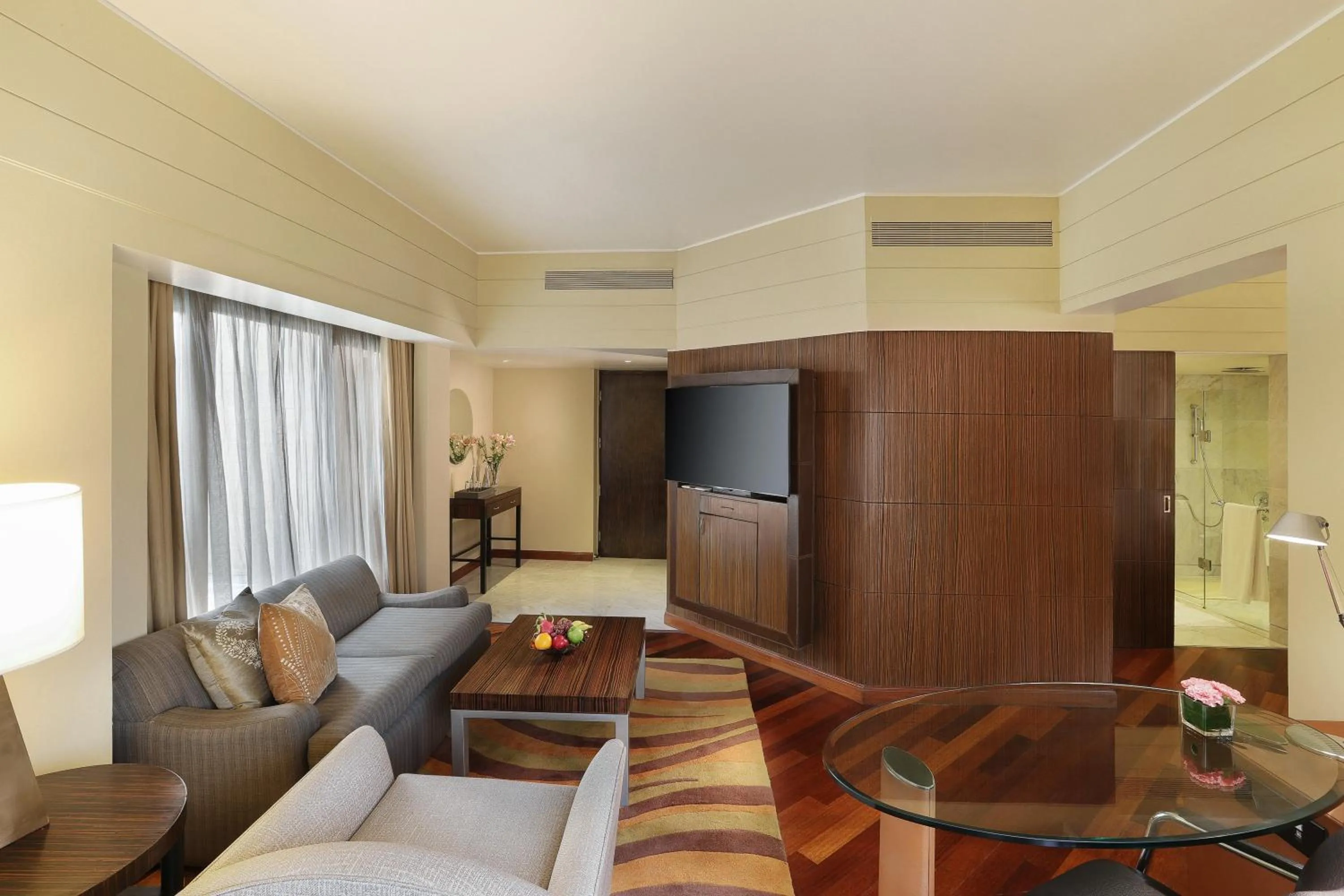 TV and multimedia in Hyatt Regency Delhi