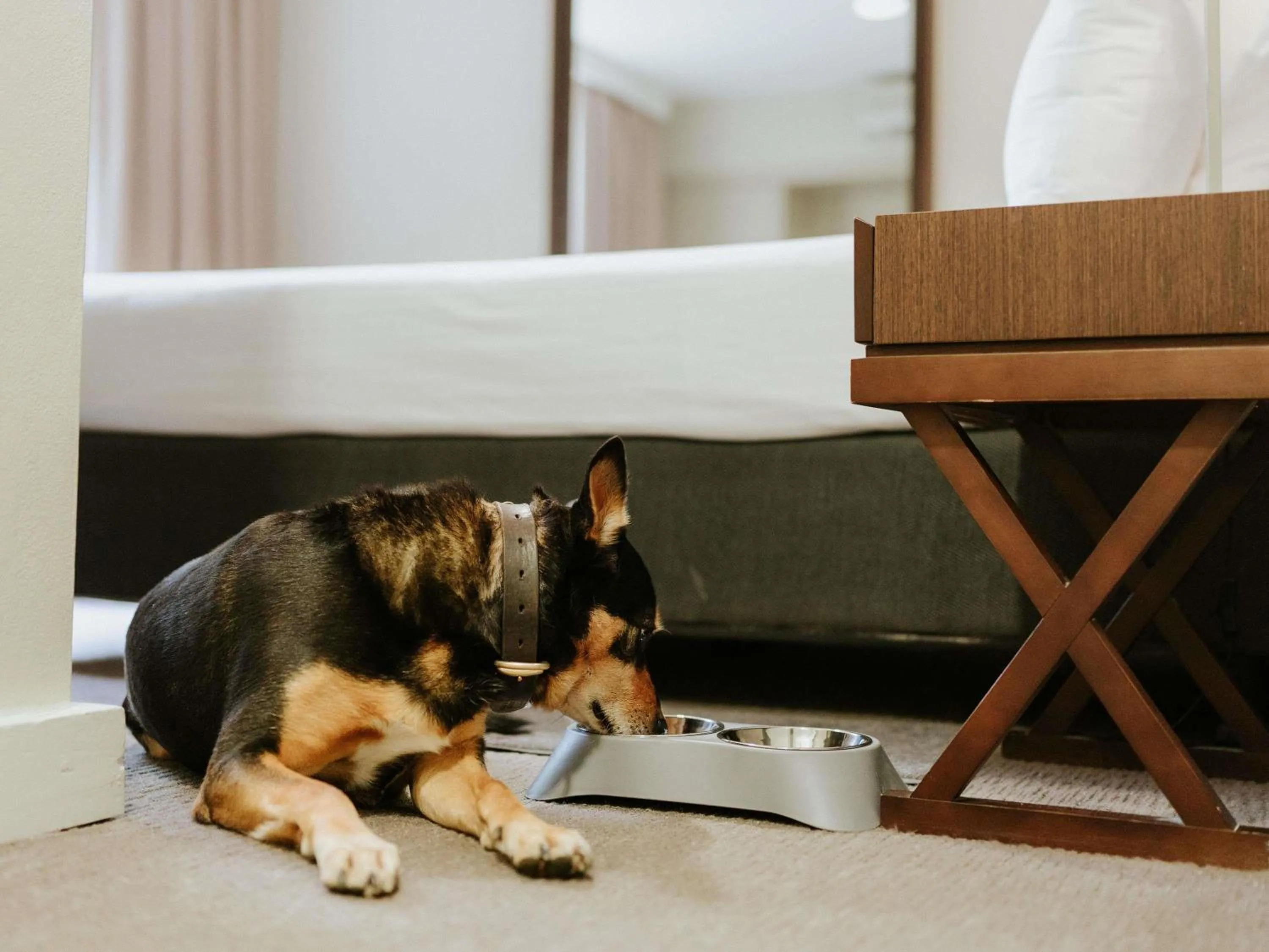 Bedroom in Peppers Craigieburn Resort