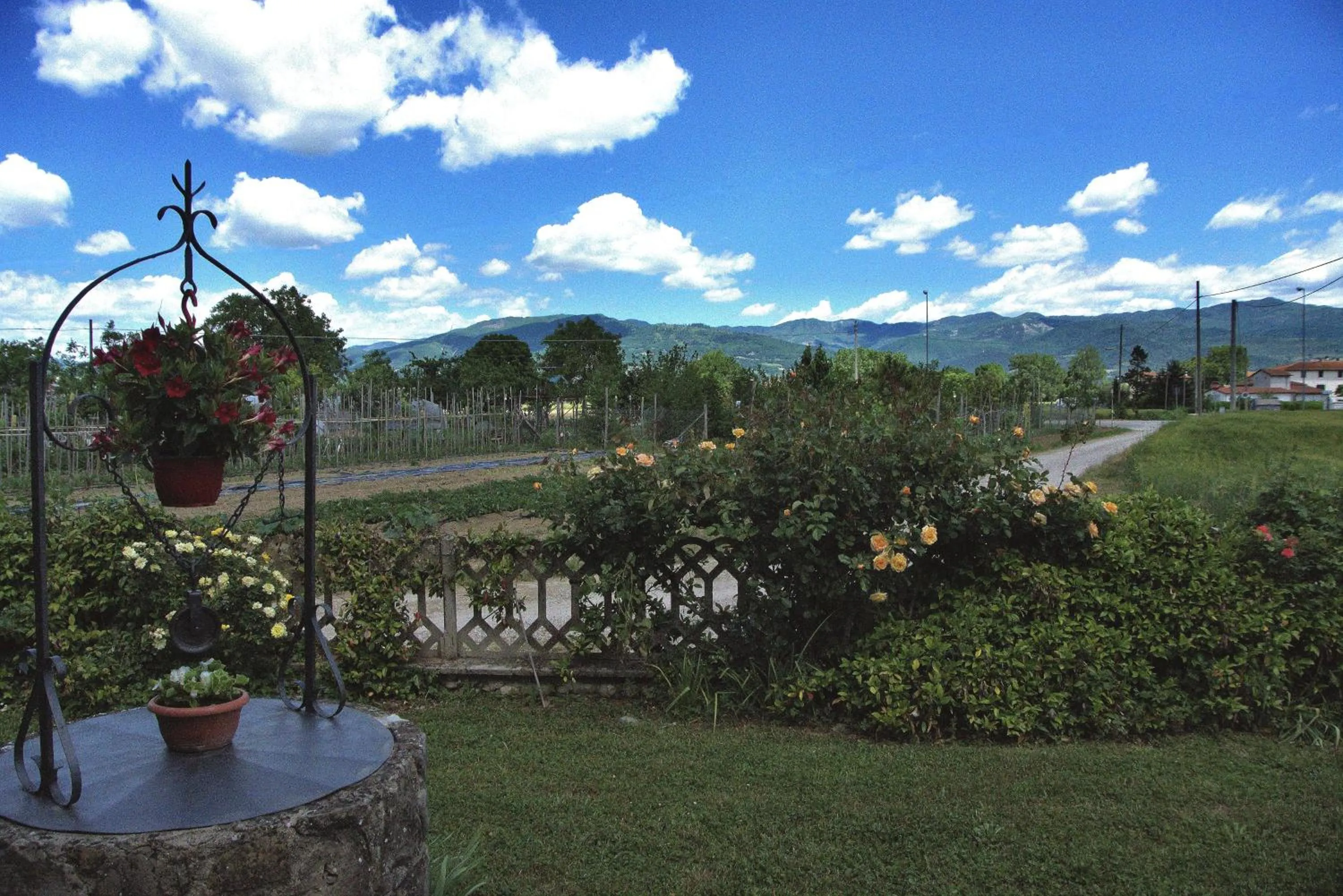 Garden view in Casa Donella B&B
