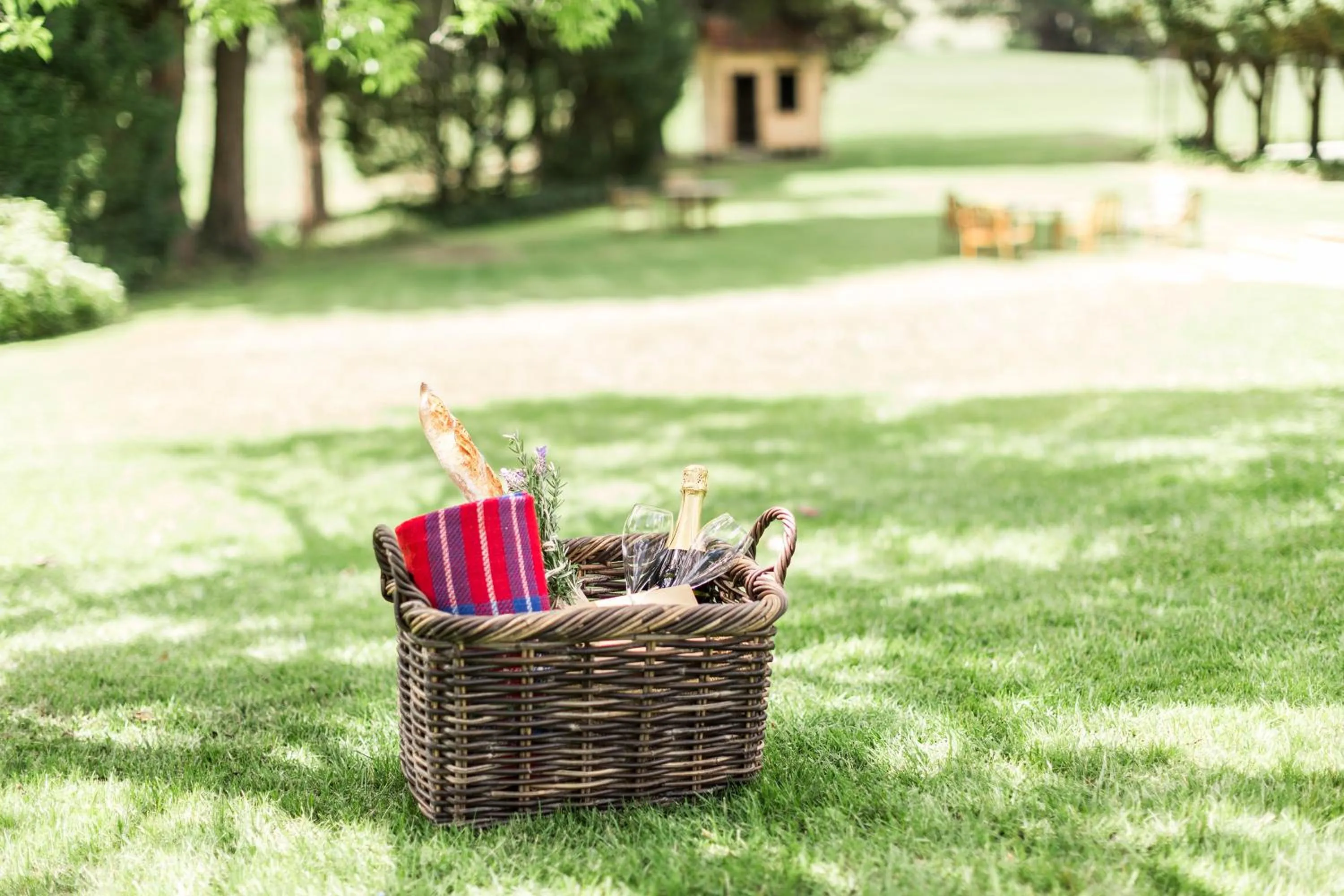 Garden in Peppers Manor House