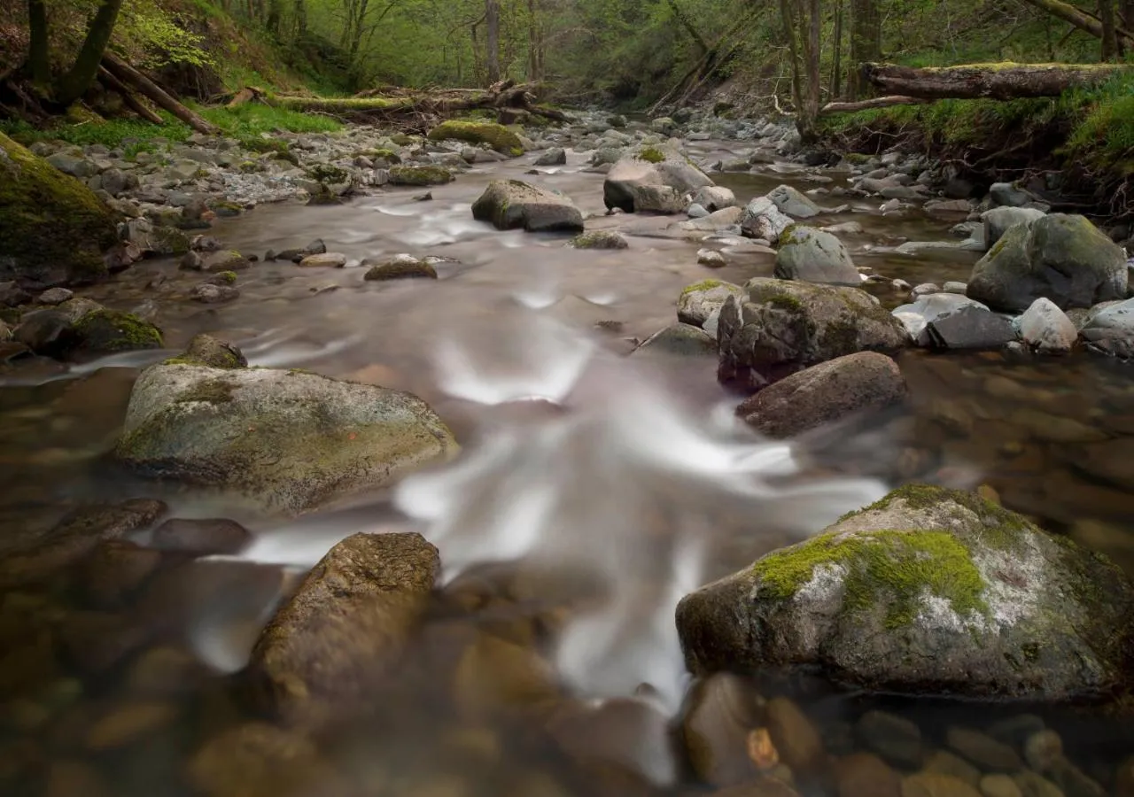 Garden in Broadoaks Boutique Country House