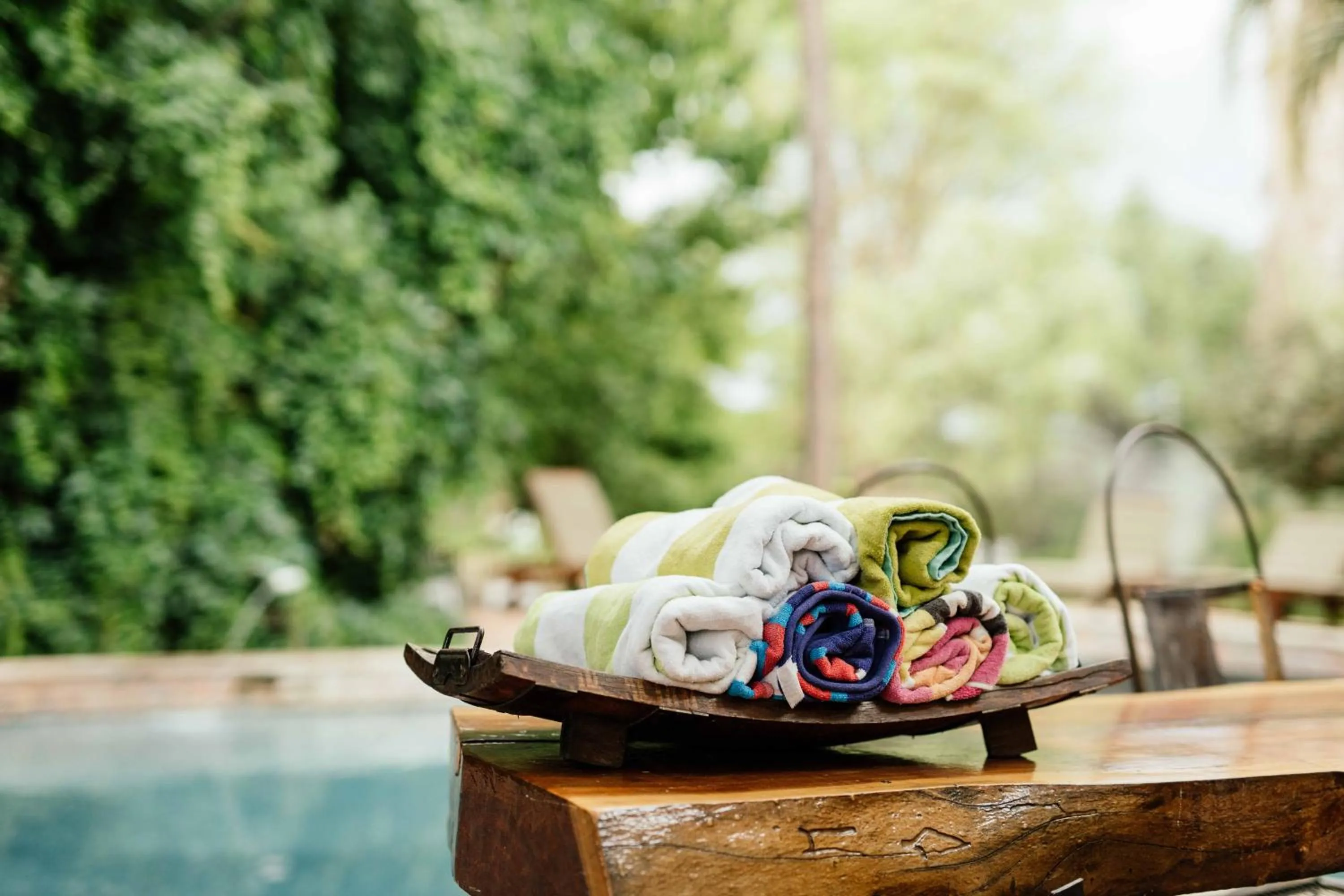 Garden in Upington African Vineyard Boutique Hotel & SPA