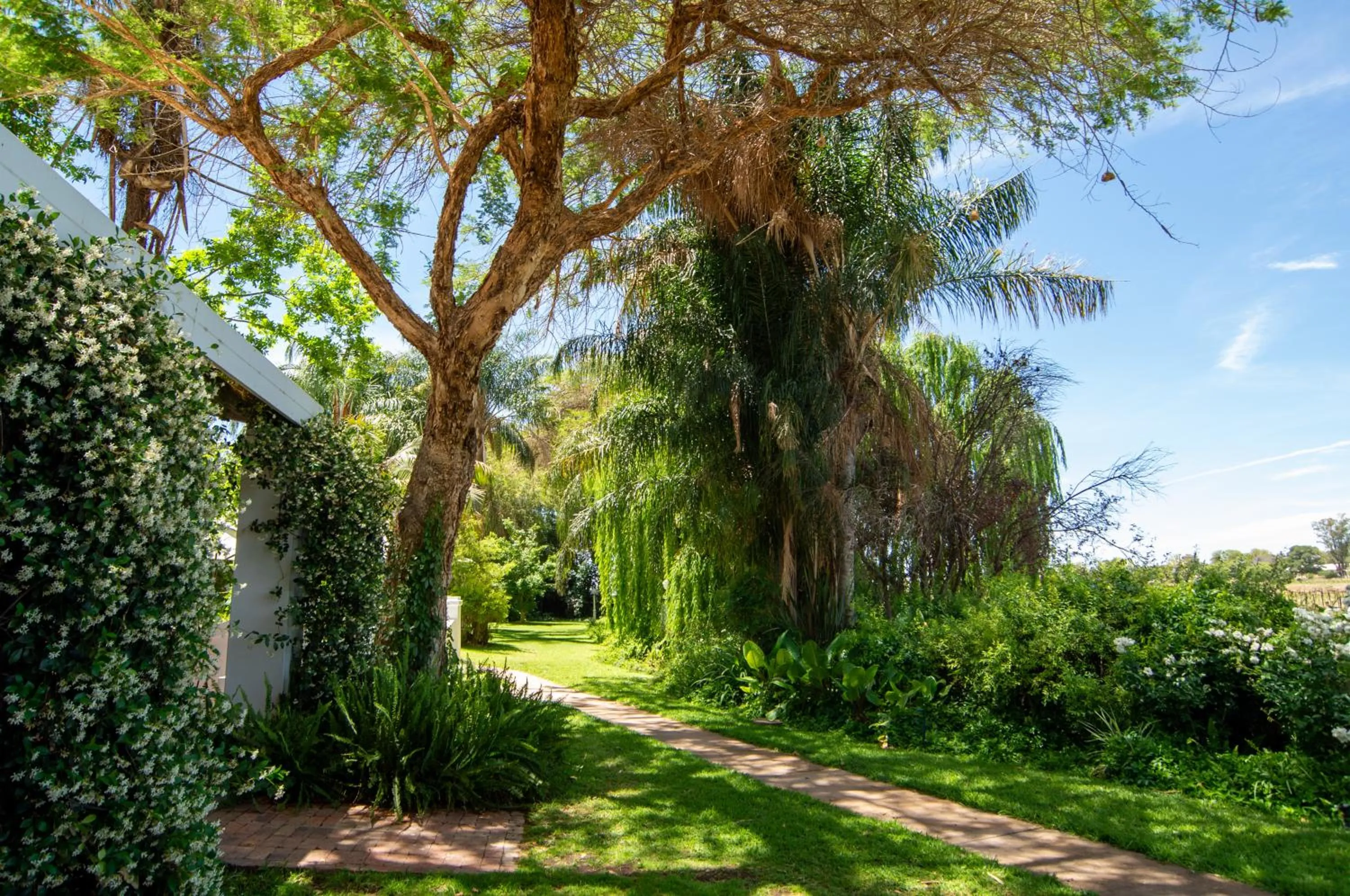 Property building in Upington African Vineyard Boutique Hotel & SPA