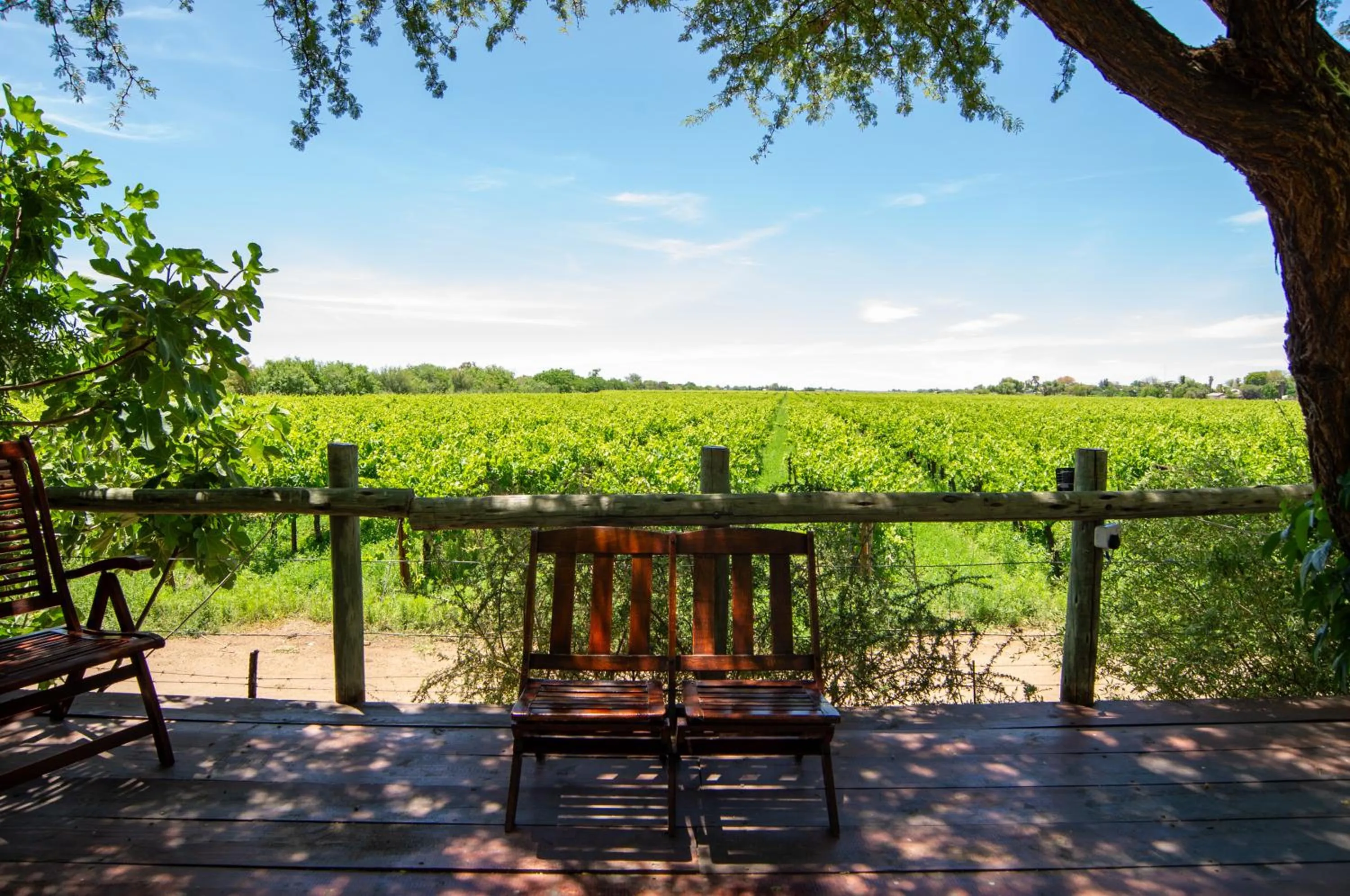 Garden in Upington African Vineyard Boutique Hotel & SPA
