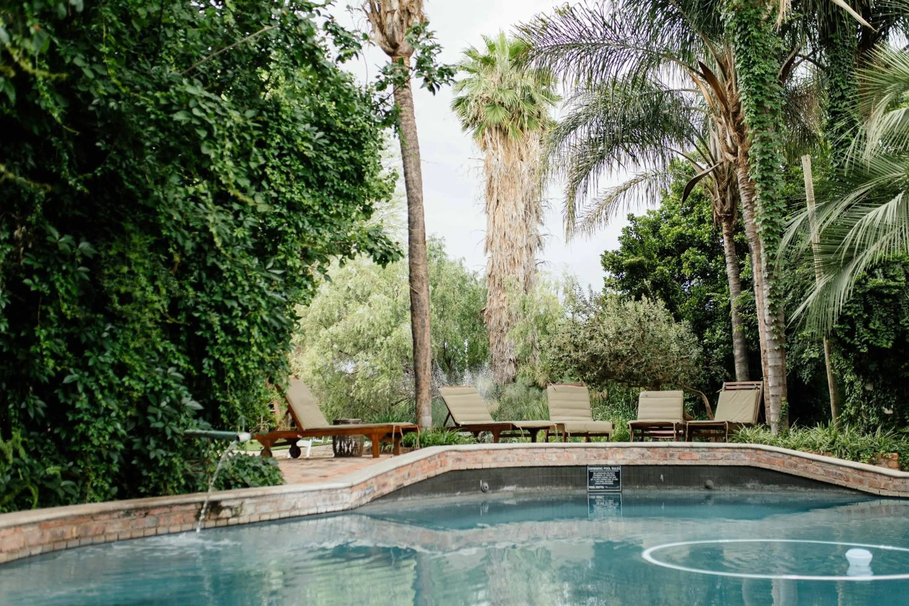 Swimming pool in Upington African Vineyard Boutique Hotel & SPA