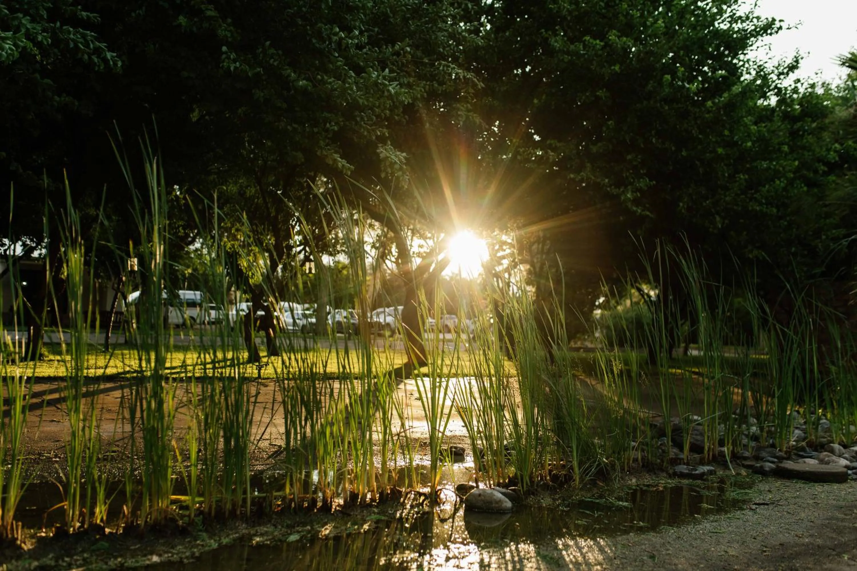 Spring in Upington African Vineyard Boutique Hotel & SPA