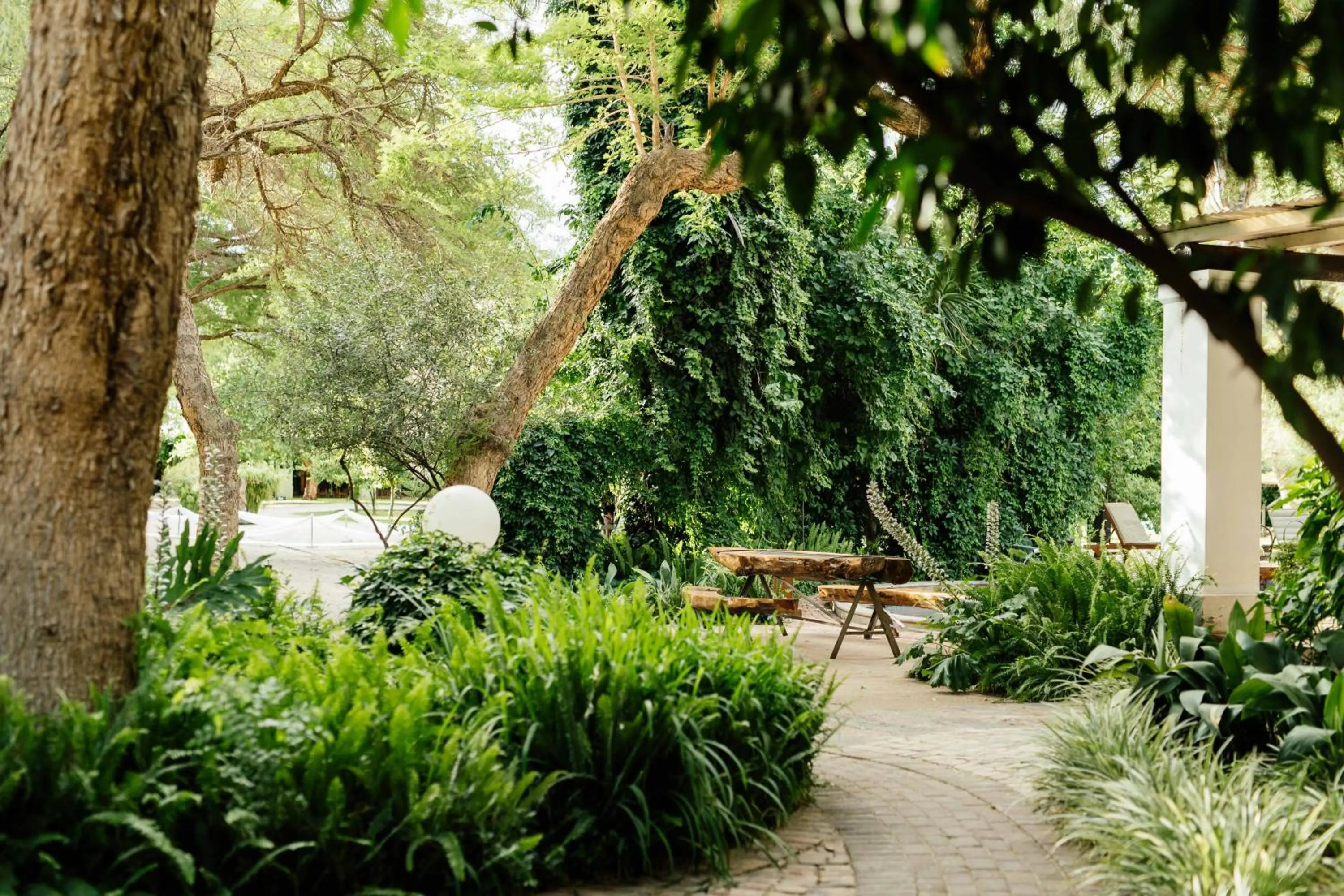 Natural landscape in Upington African Vineyard Boutique Hotel & SPA