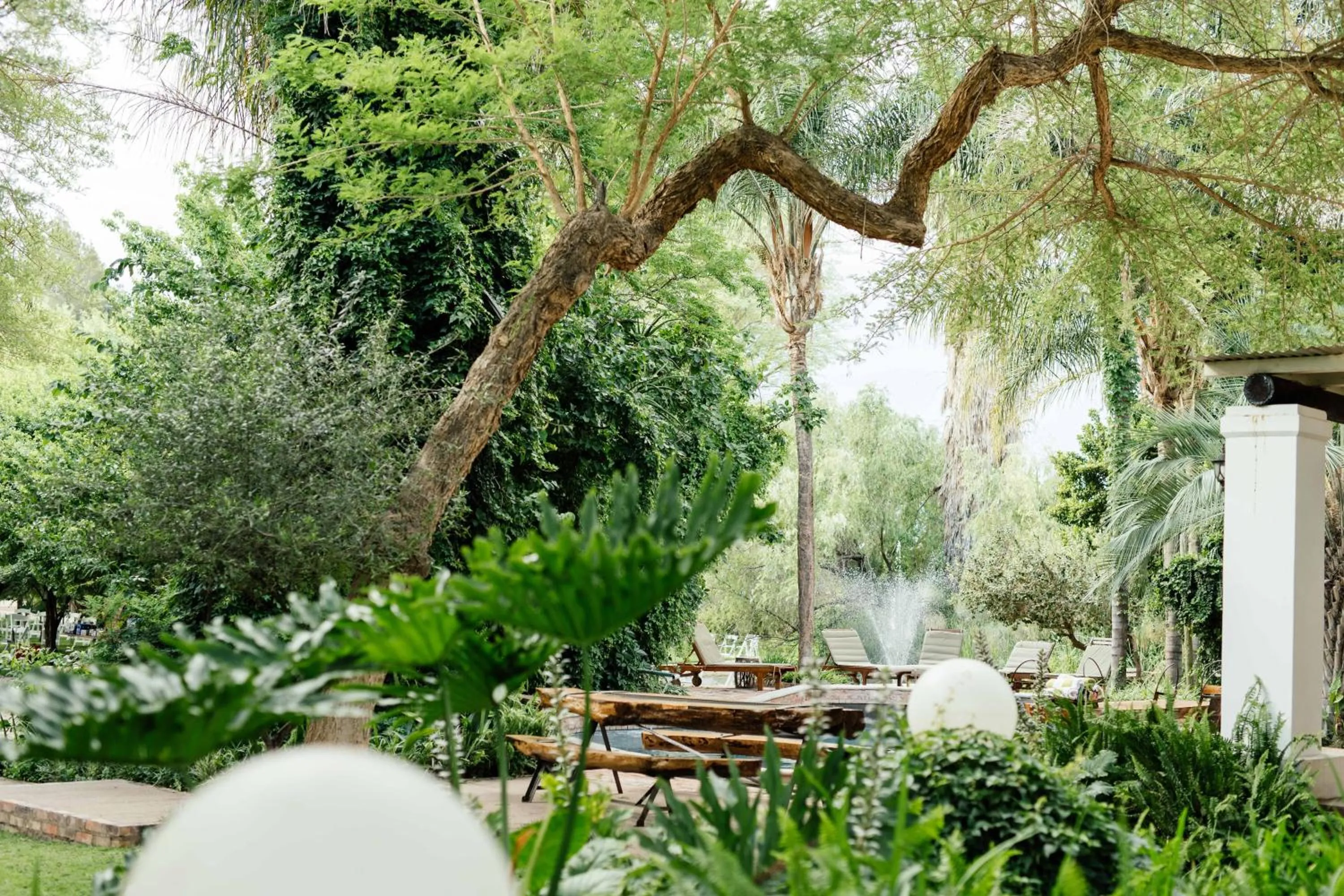 Natural landscape in Upington African Vineyard Boutique Hotel & SPA