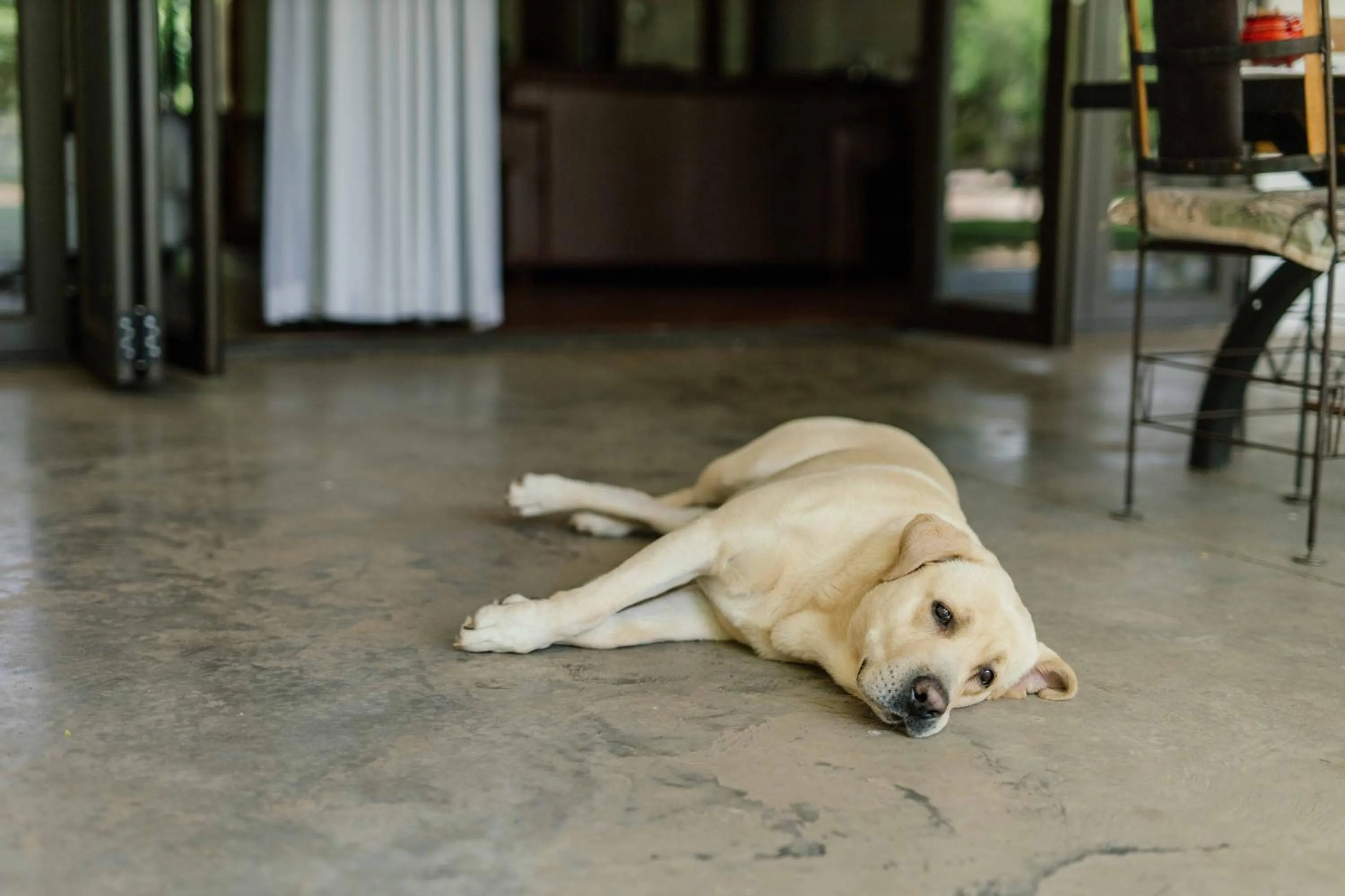 Decorative detail in Upington African Vineyard Boutique Hotel & SPA