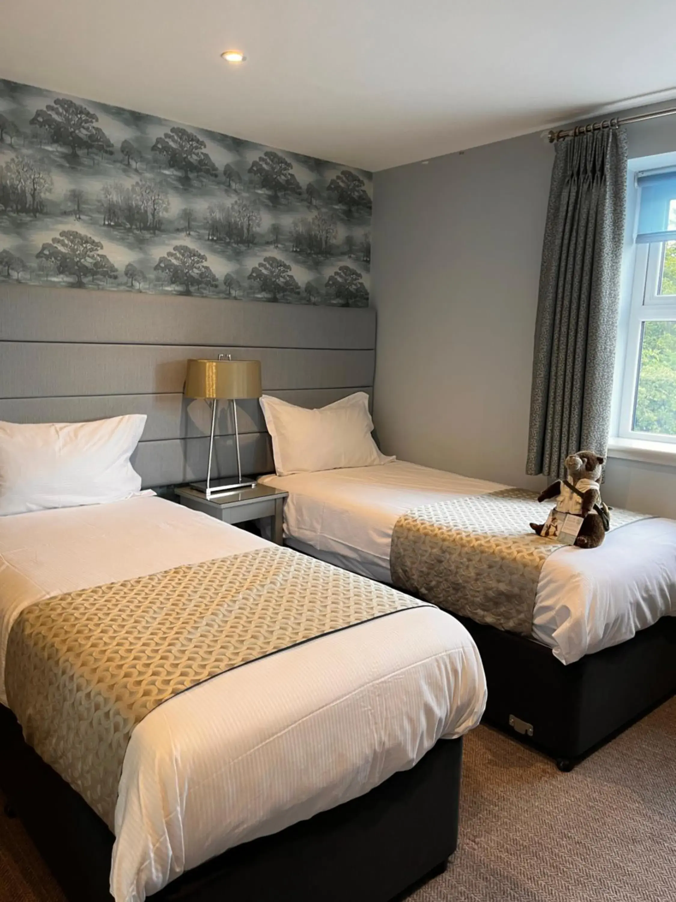 Twin Room with Shower in The Sally Twin Room with Shower in The Sally