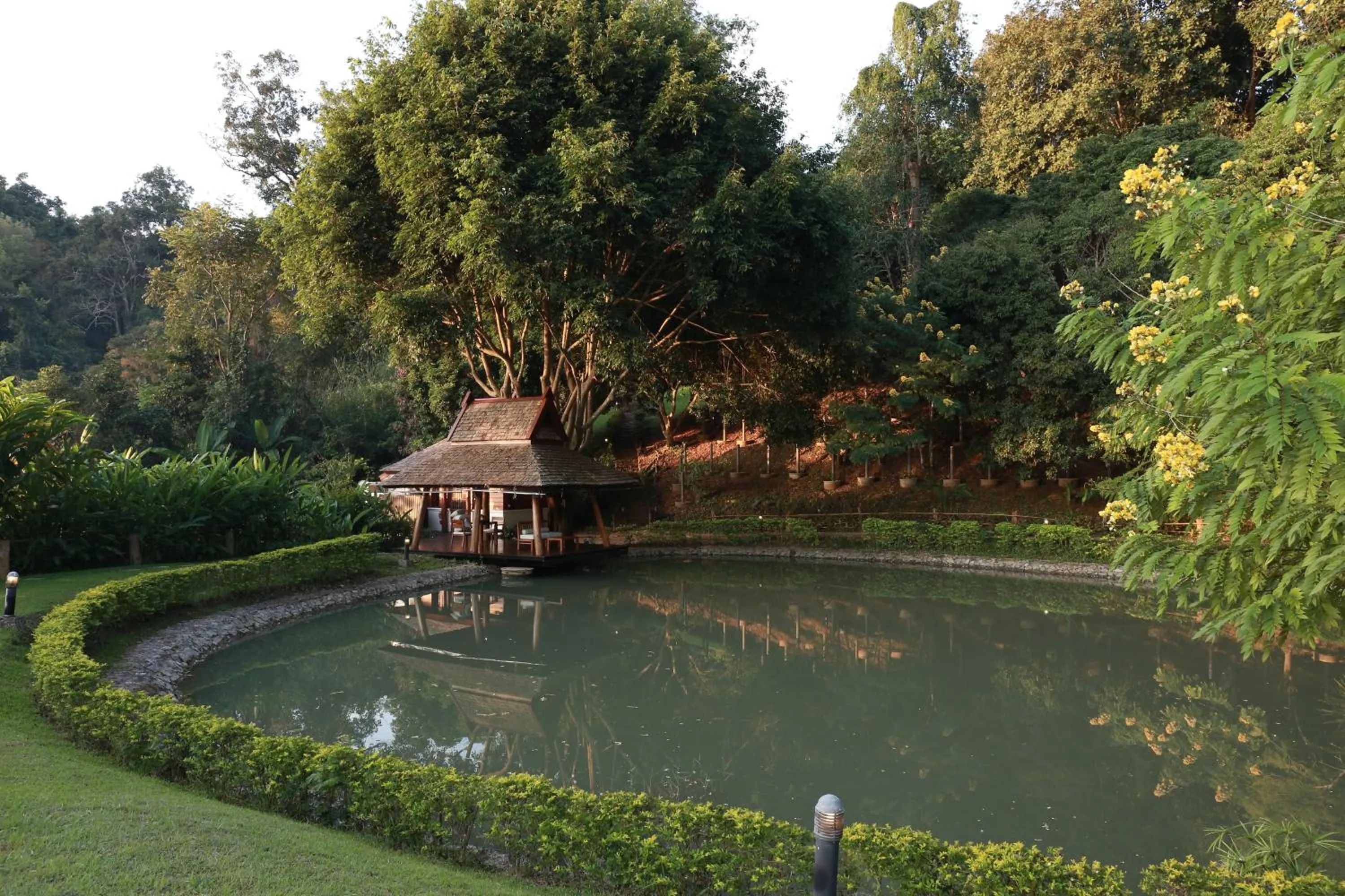 View (from property/room) in Vanilla hill (hill lodge)