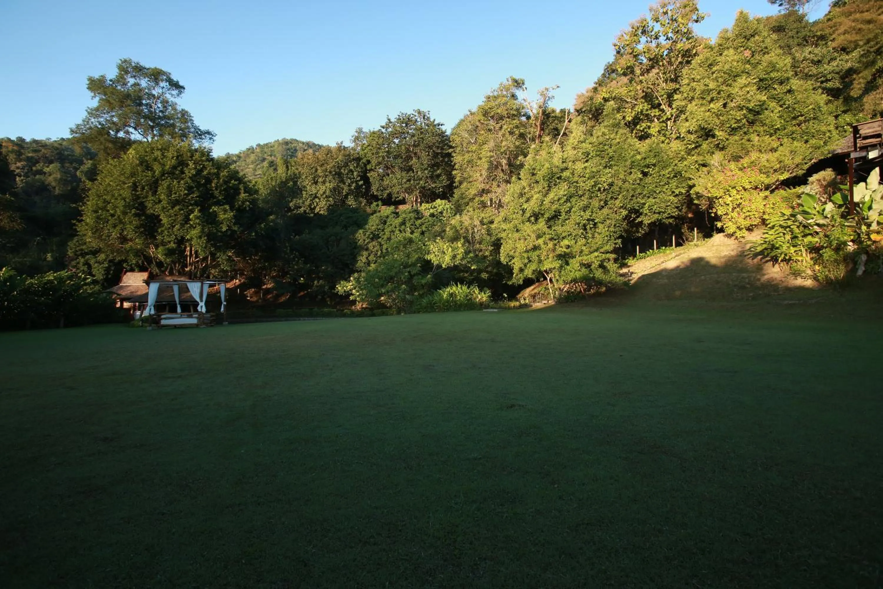 Garden in Vanilla hill (hill lodge)
