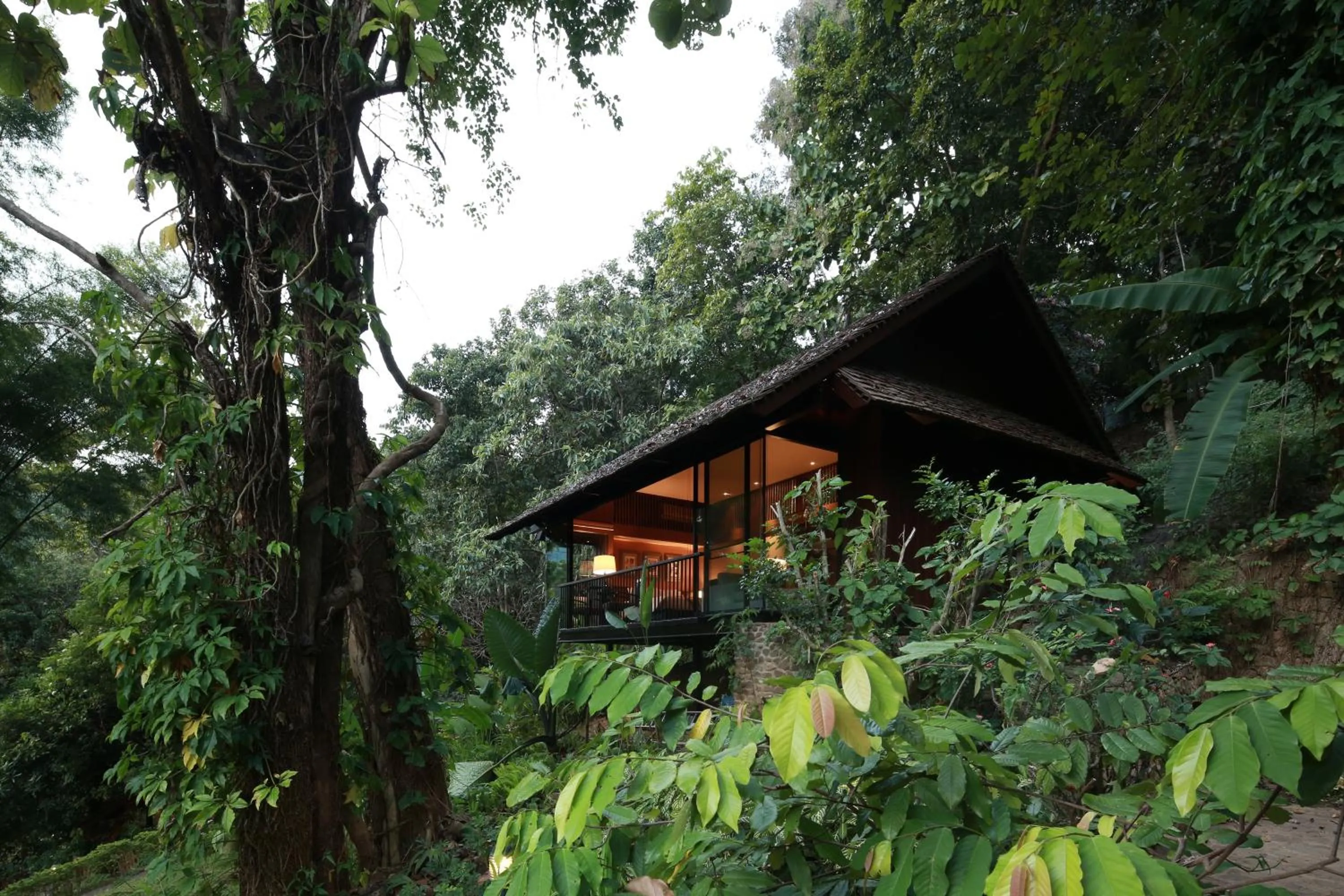 View (from property/room) in Vanilla hill (hill lodge)