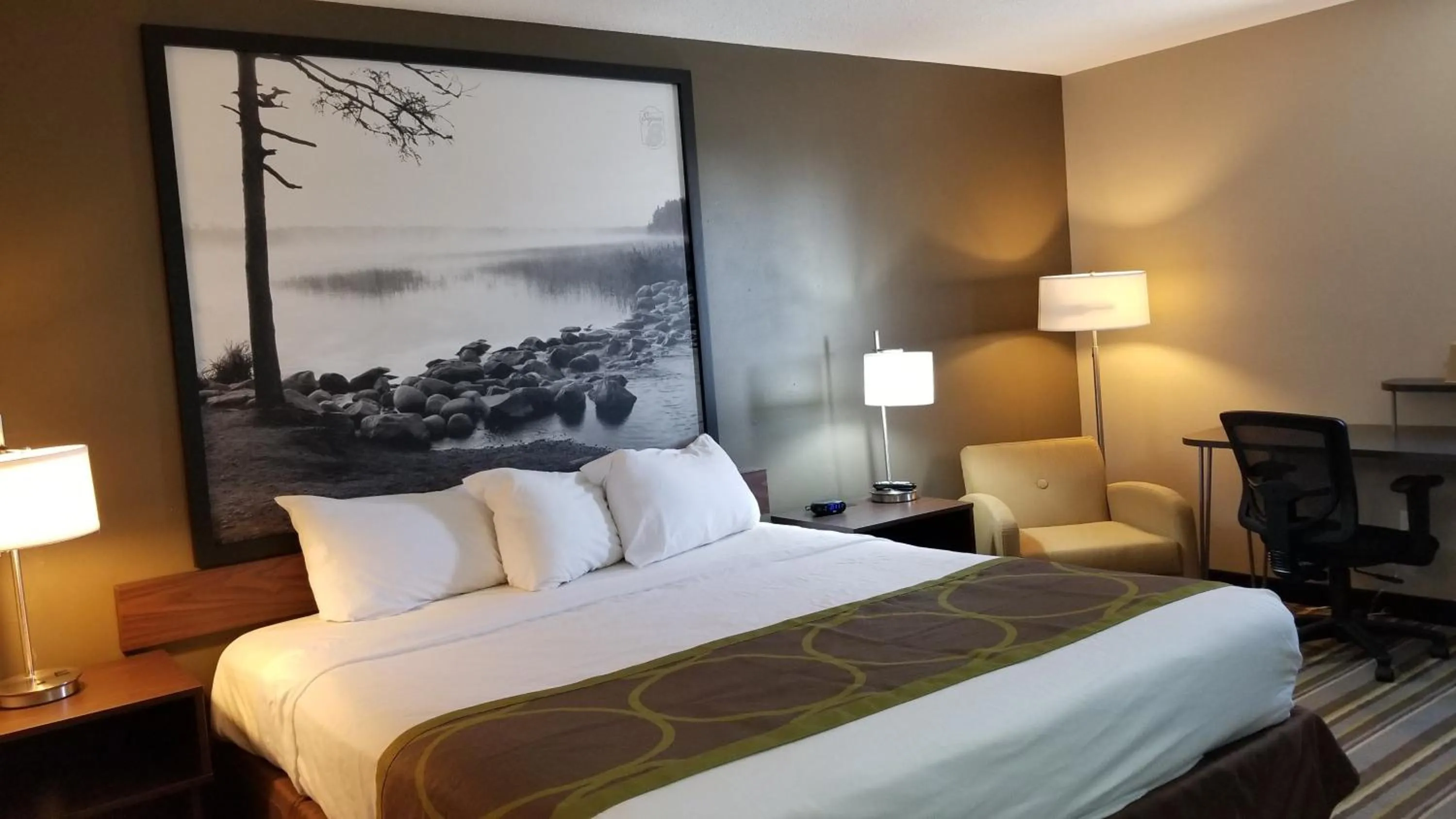 Bedroom, Bed in Super 8 by Wyndham St. Cloud