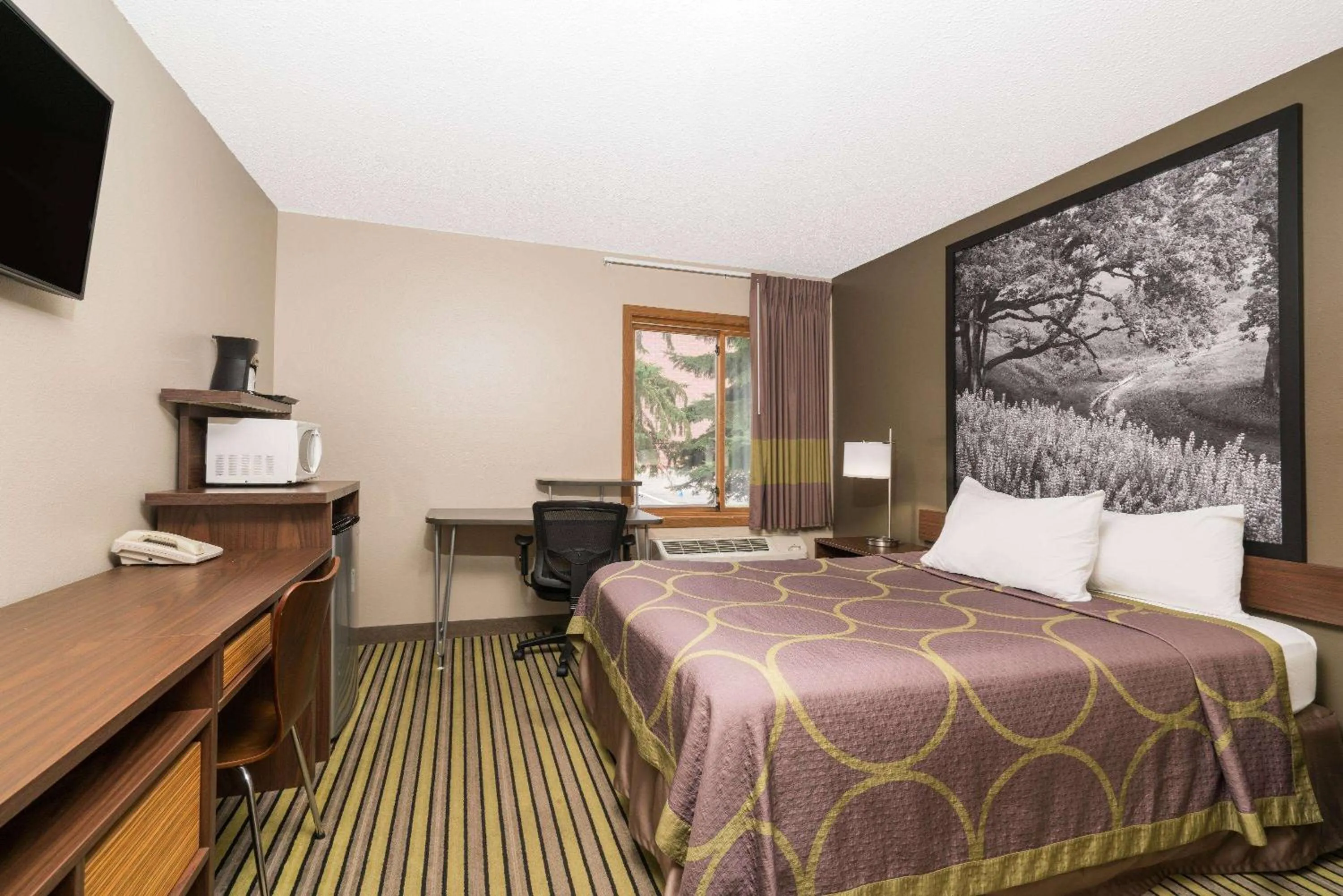 Photo of the whole room, Bed in Super 8 by Wyndham St. Cloud