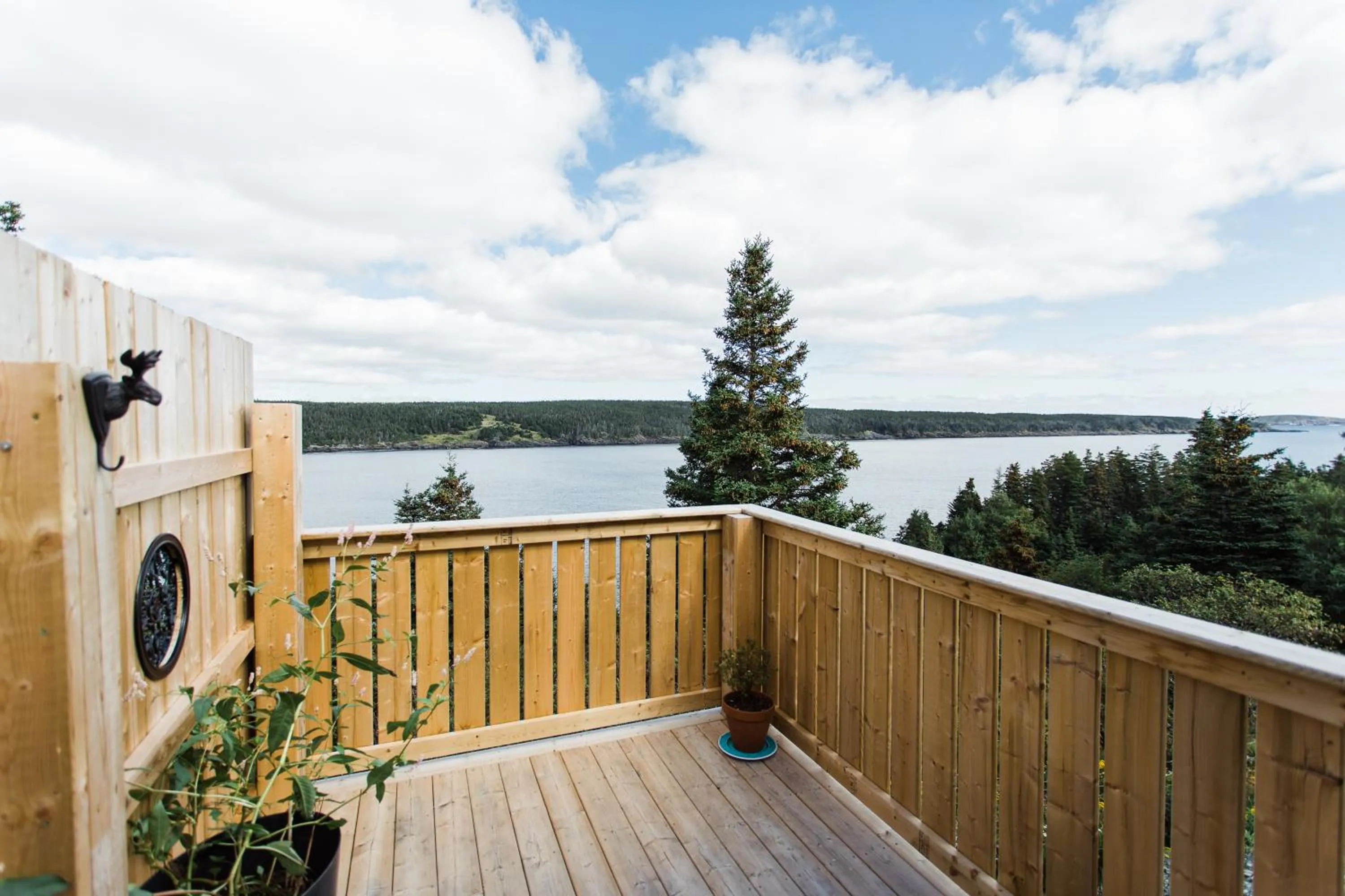 Balcony/Terrace in Whale House Guest House