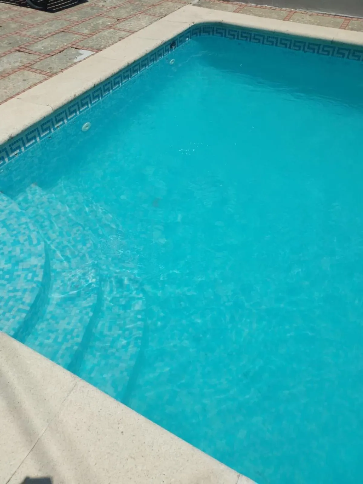 Catloc & Kitcat Alojamento Local