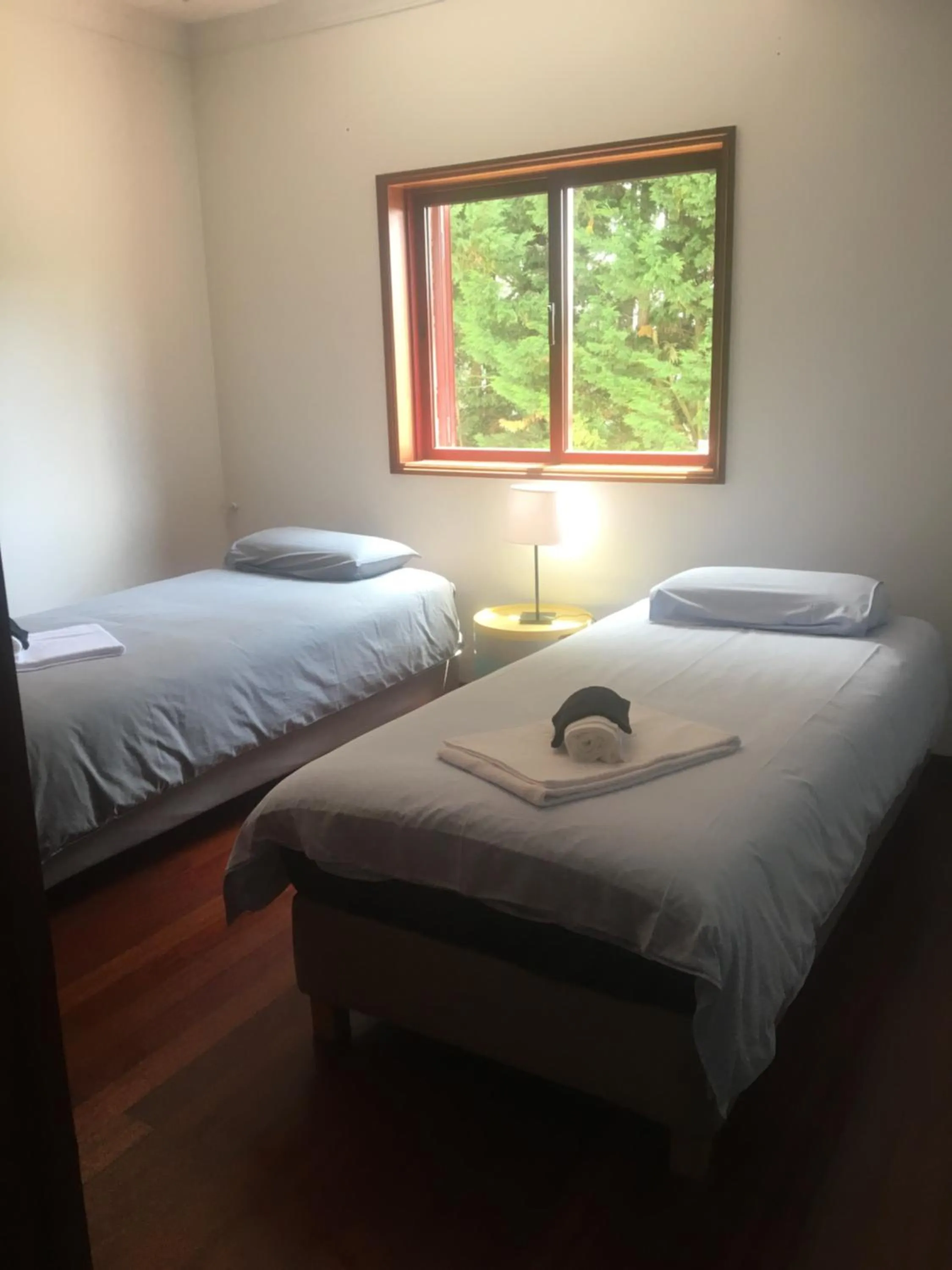 Bed in Catloc & Kitcat Alojamento Local