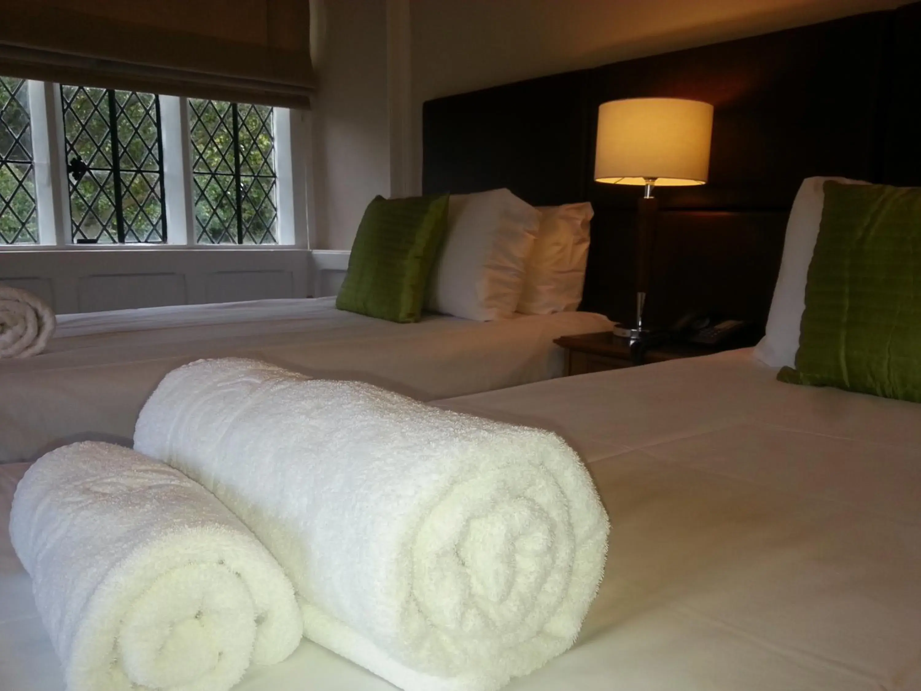 Twin Room in Thornbury Lodge Twin Room in Thornbury Lodge