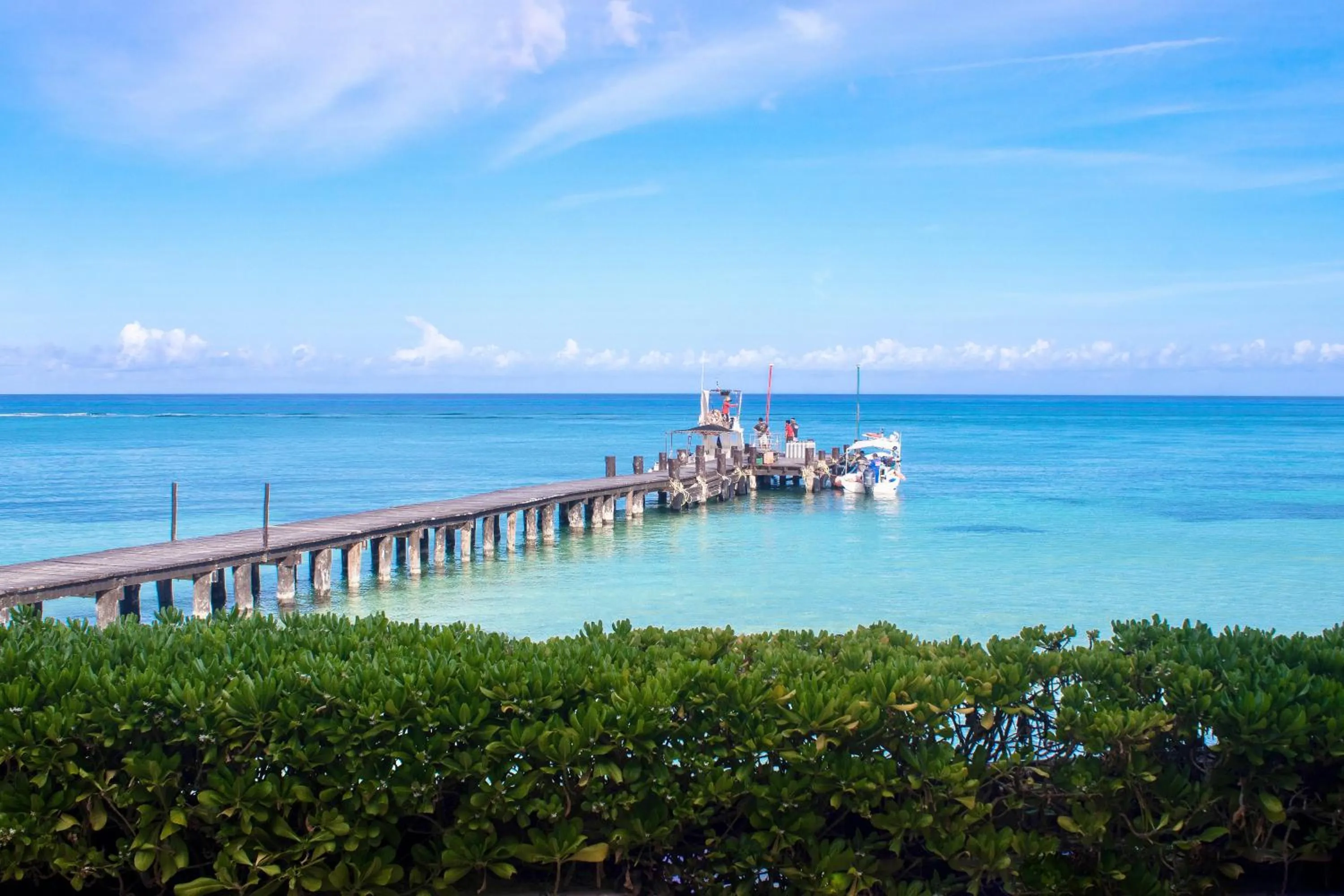 Property building in Occidental Cozumel - All Inclusive