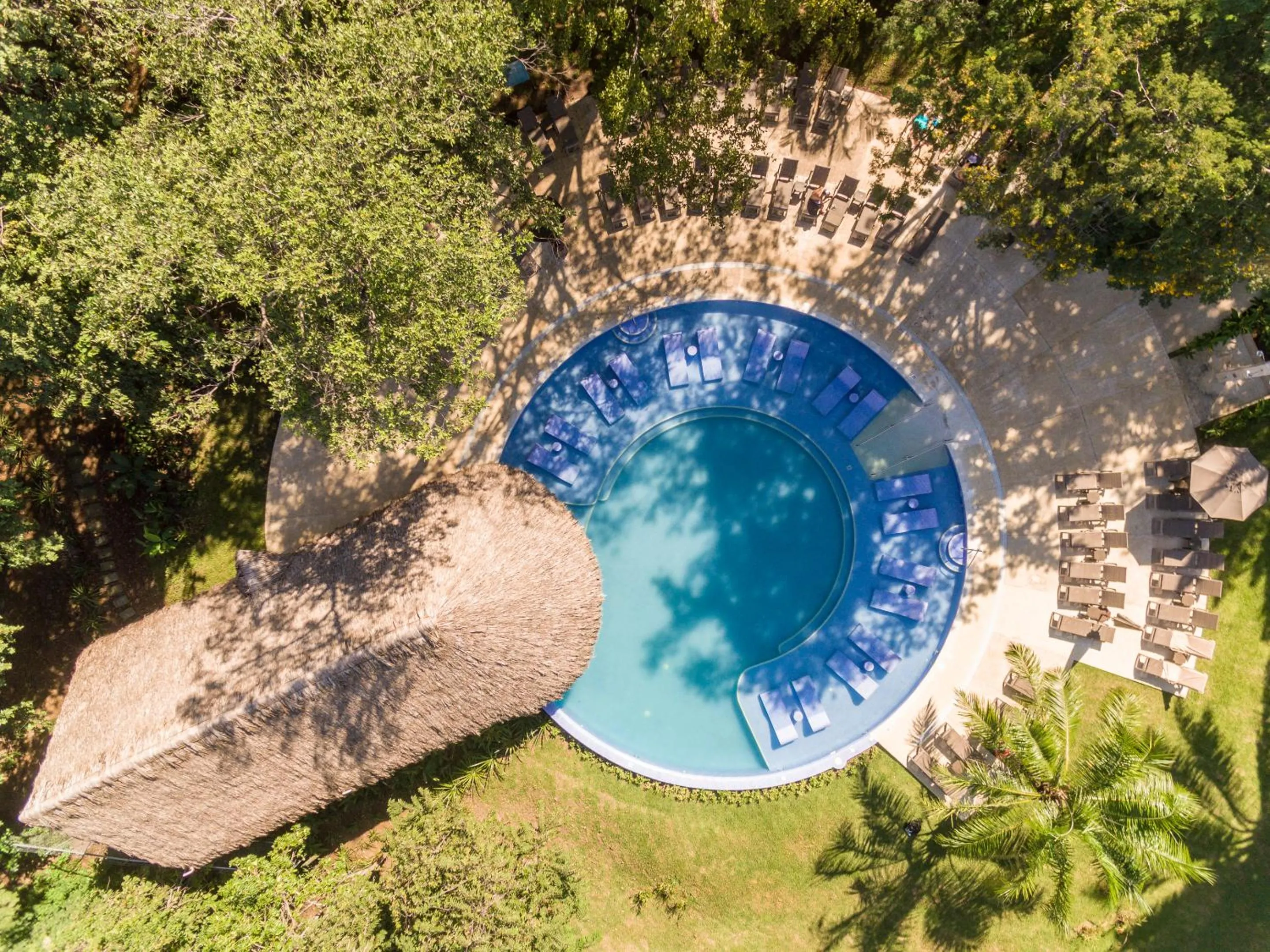 Swimming pool in Occidental Papagayo - Adults Only All Inclusive