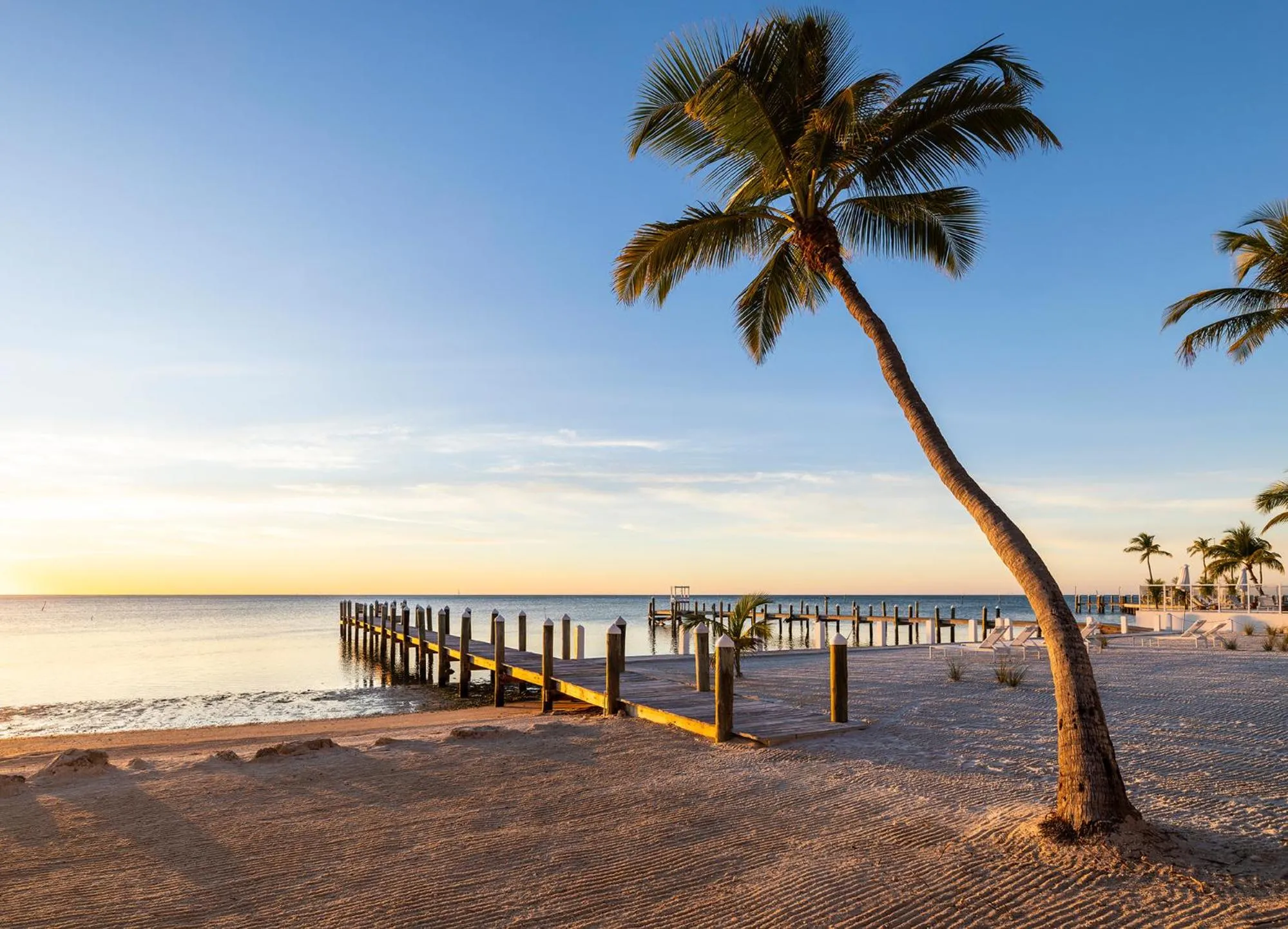 Pines & Palms Resort