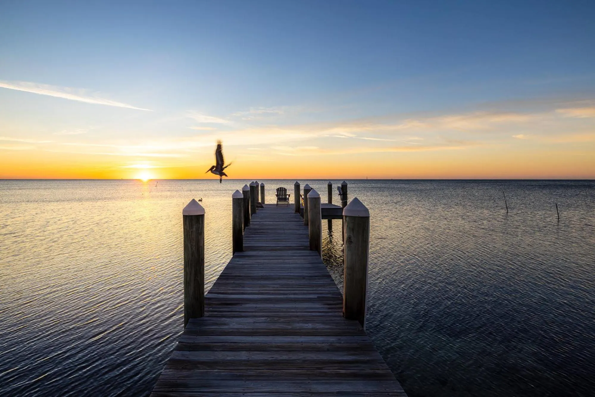 Pines & Palms Resort