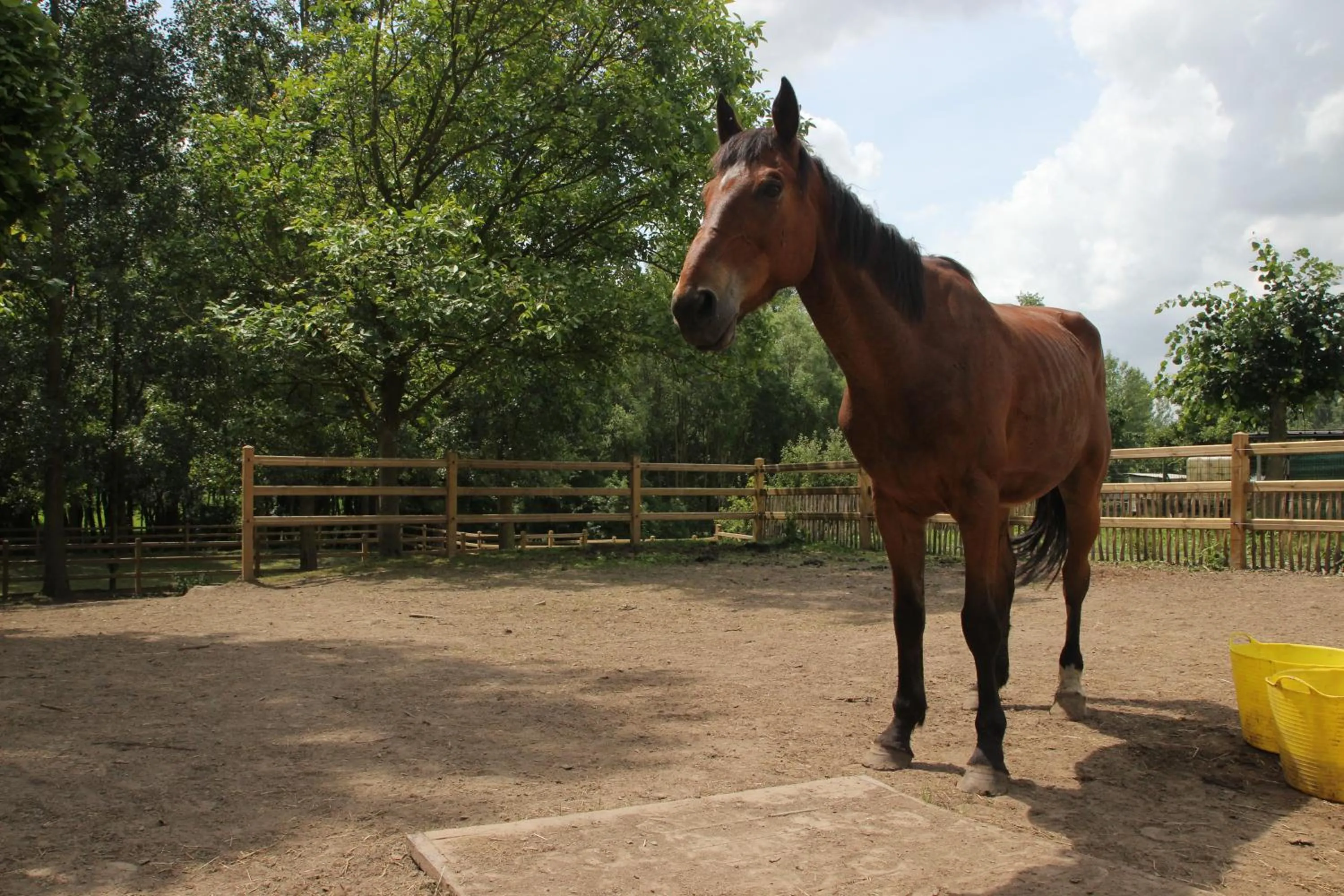 Property building in B&B Dotter 17