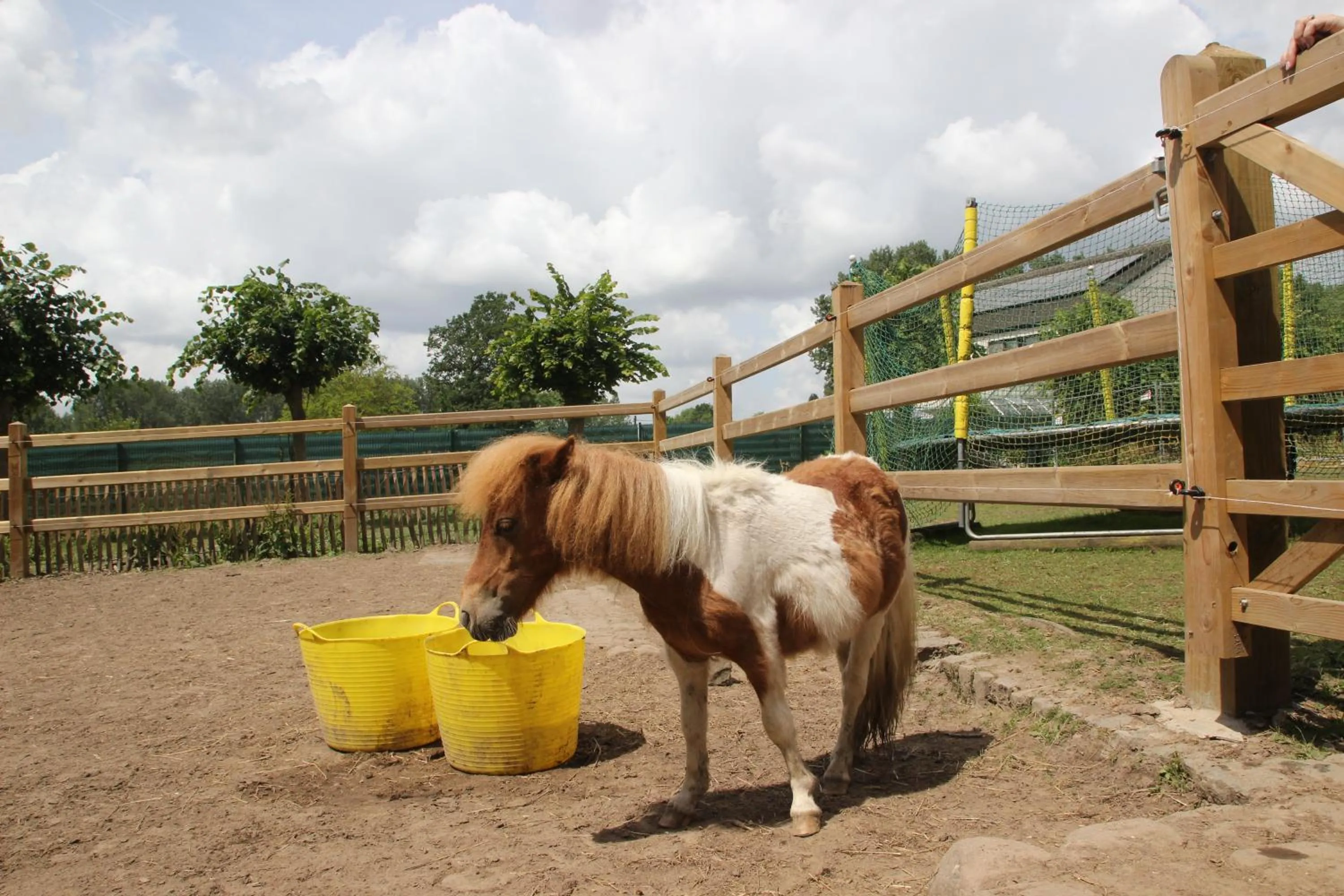 Property building in B&B Dotter 17