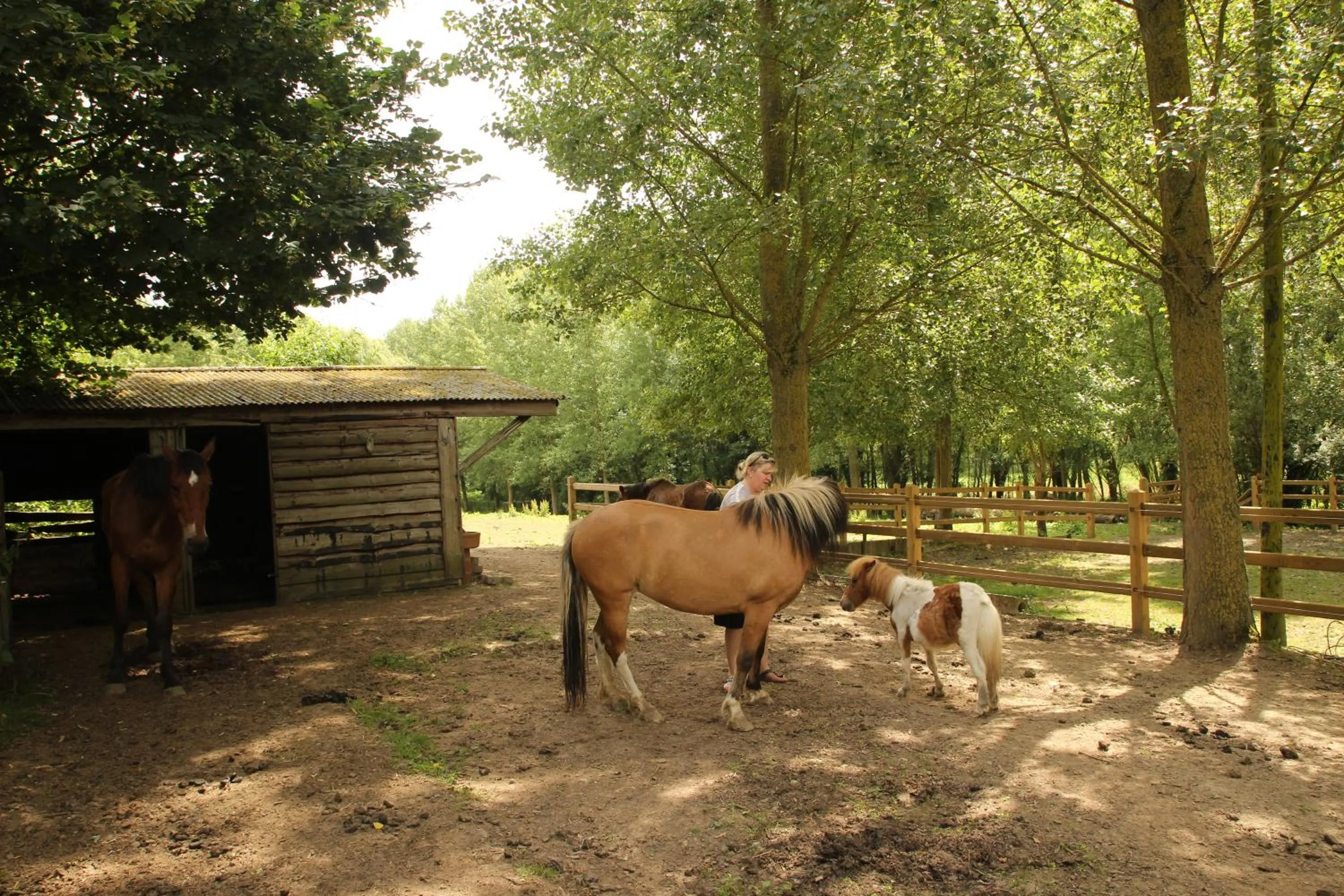 Property building in B&B Dotter 17