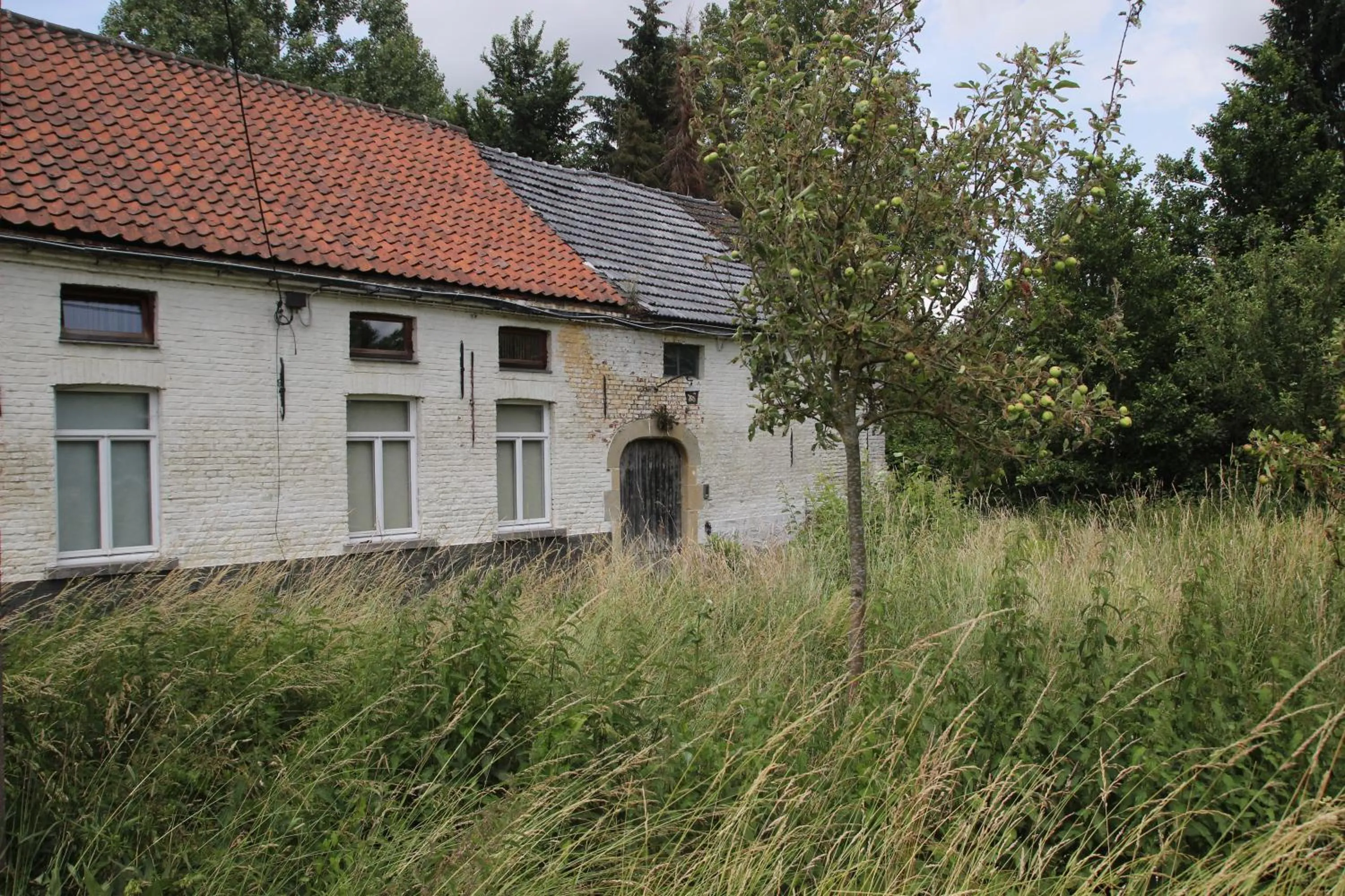 Property building in B&B Dotter 17