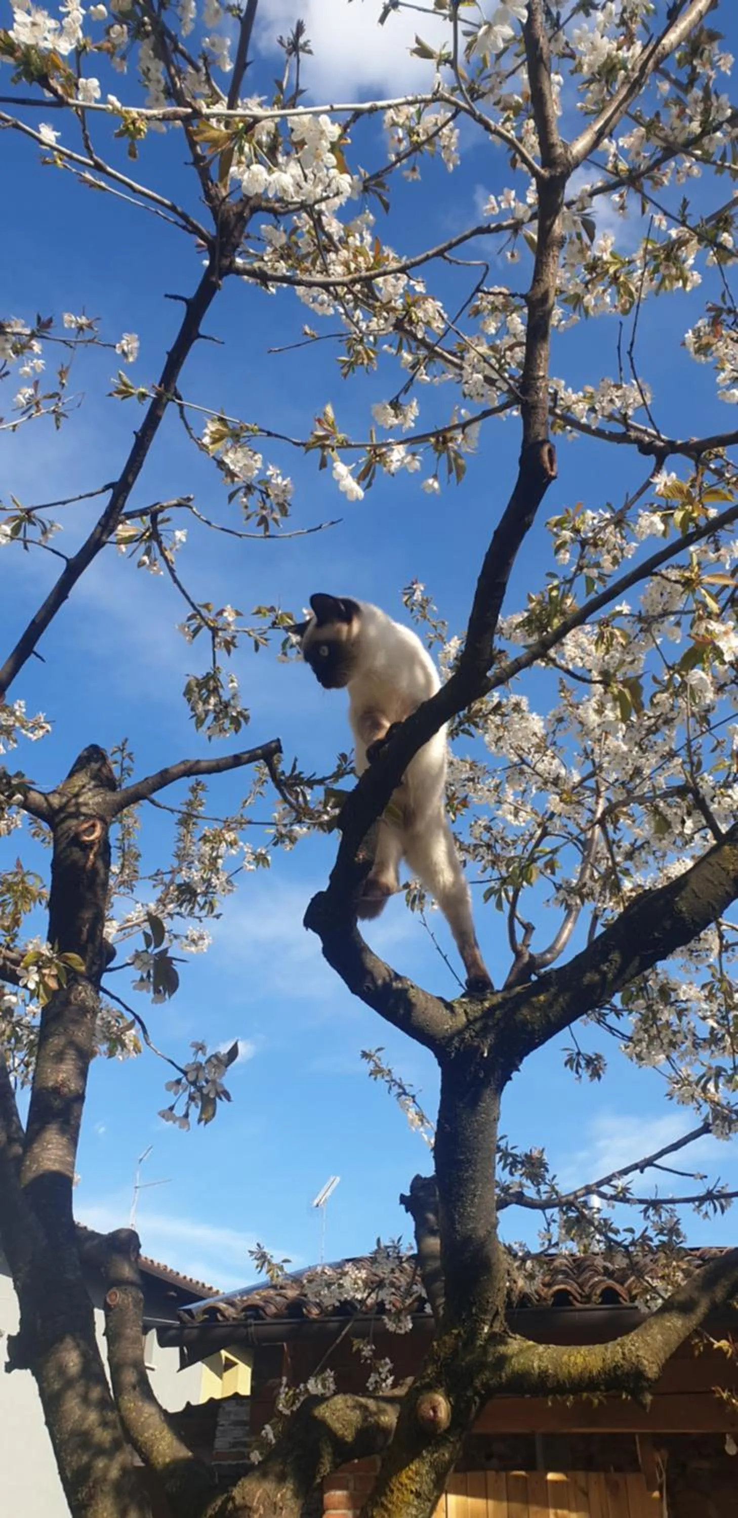 Spring in B&B Karin - Rooms & Breakfast