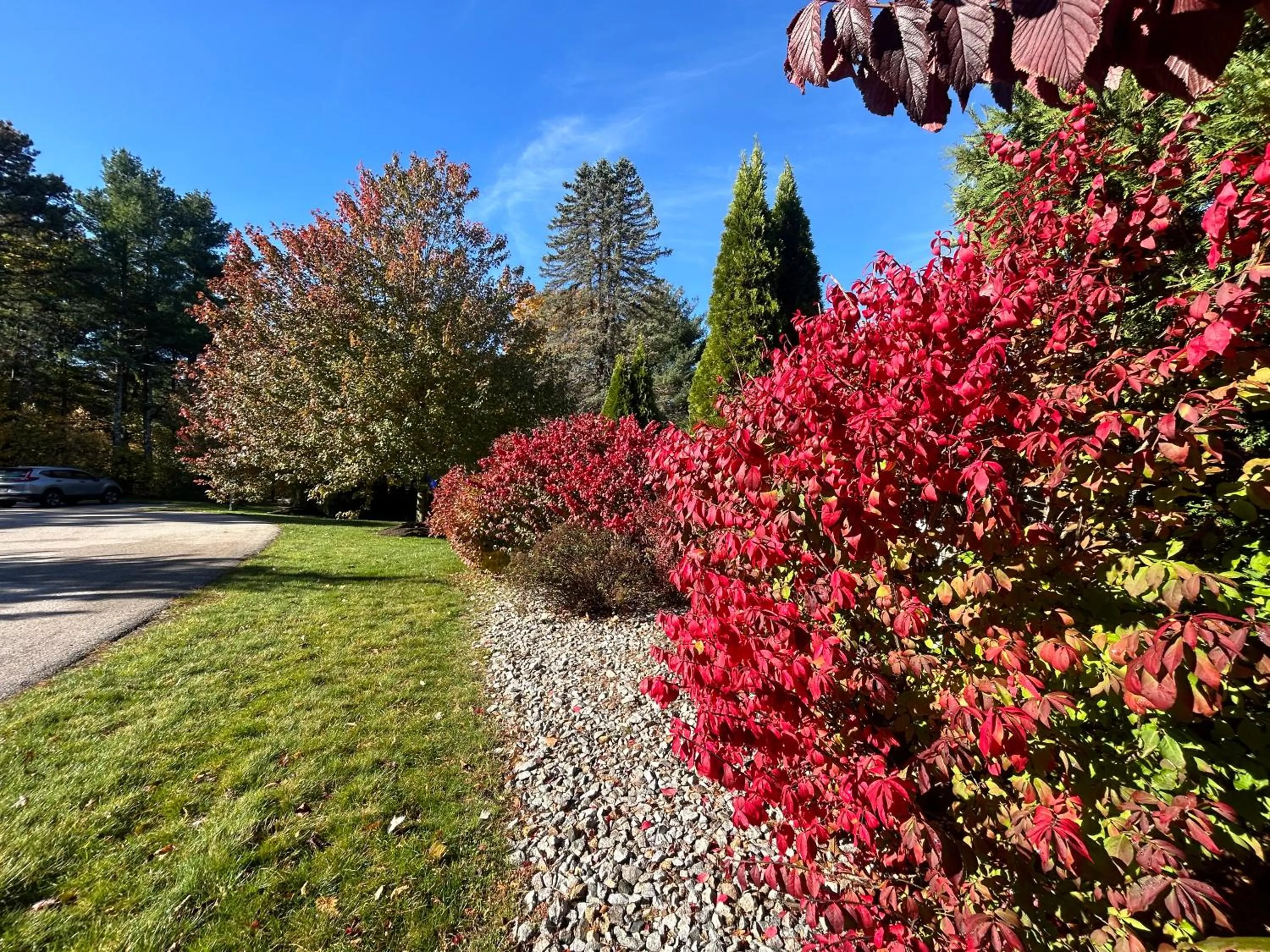 Golden Gables Inn Dazzler Select by Wyndham