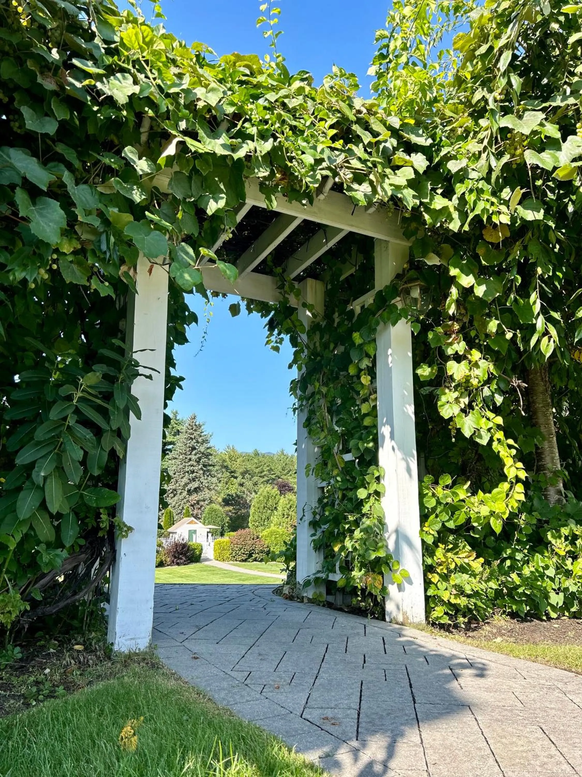 Garden in Golden Gables Inn Dazzler Select by Wyndham