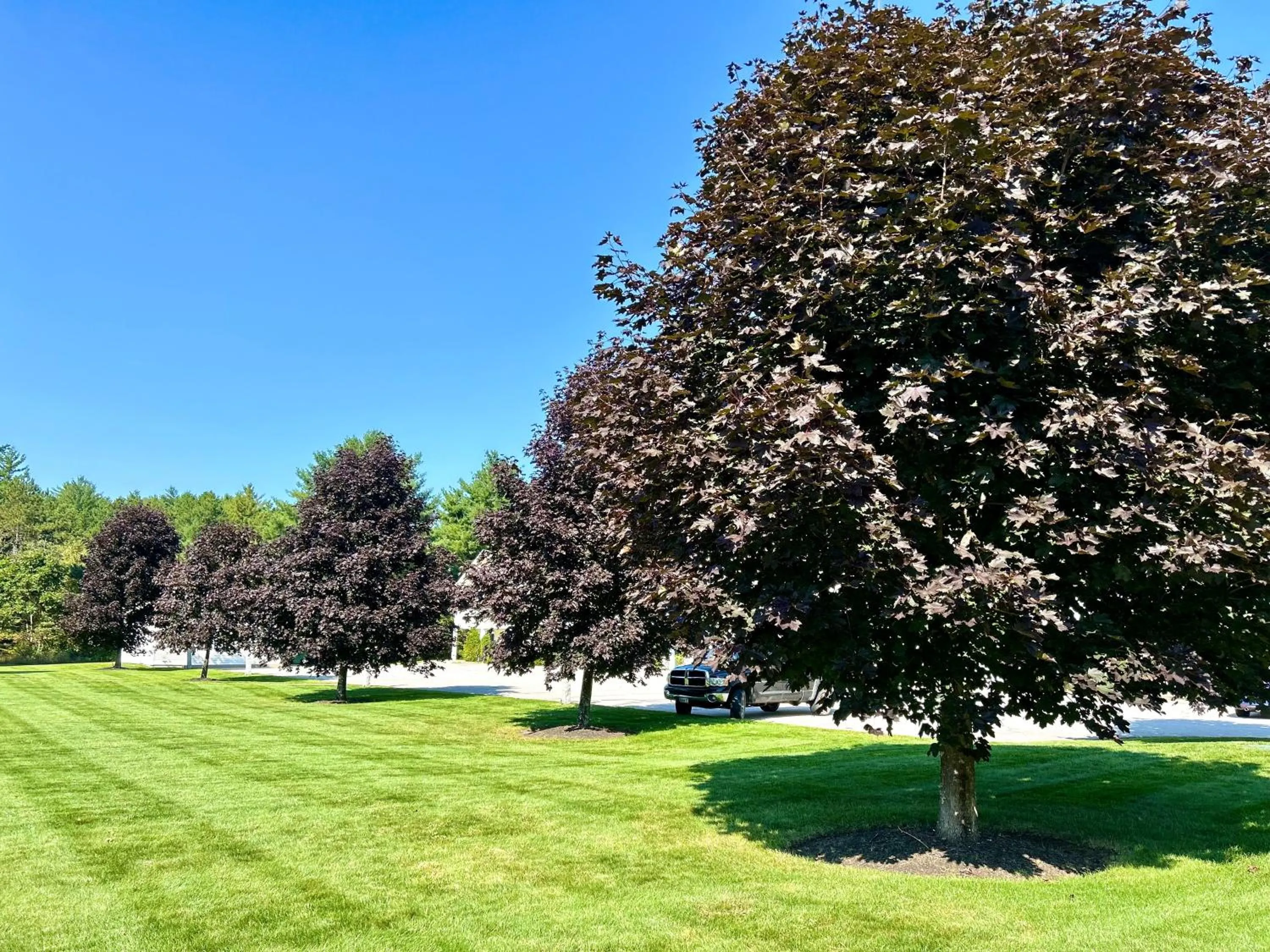 Day in Golden Gables Inn Dazzler Select by Wyndham