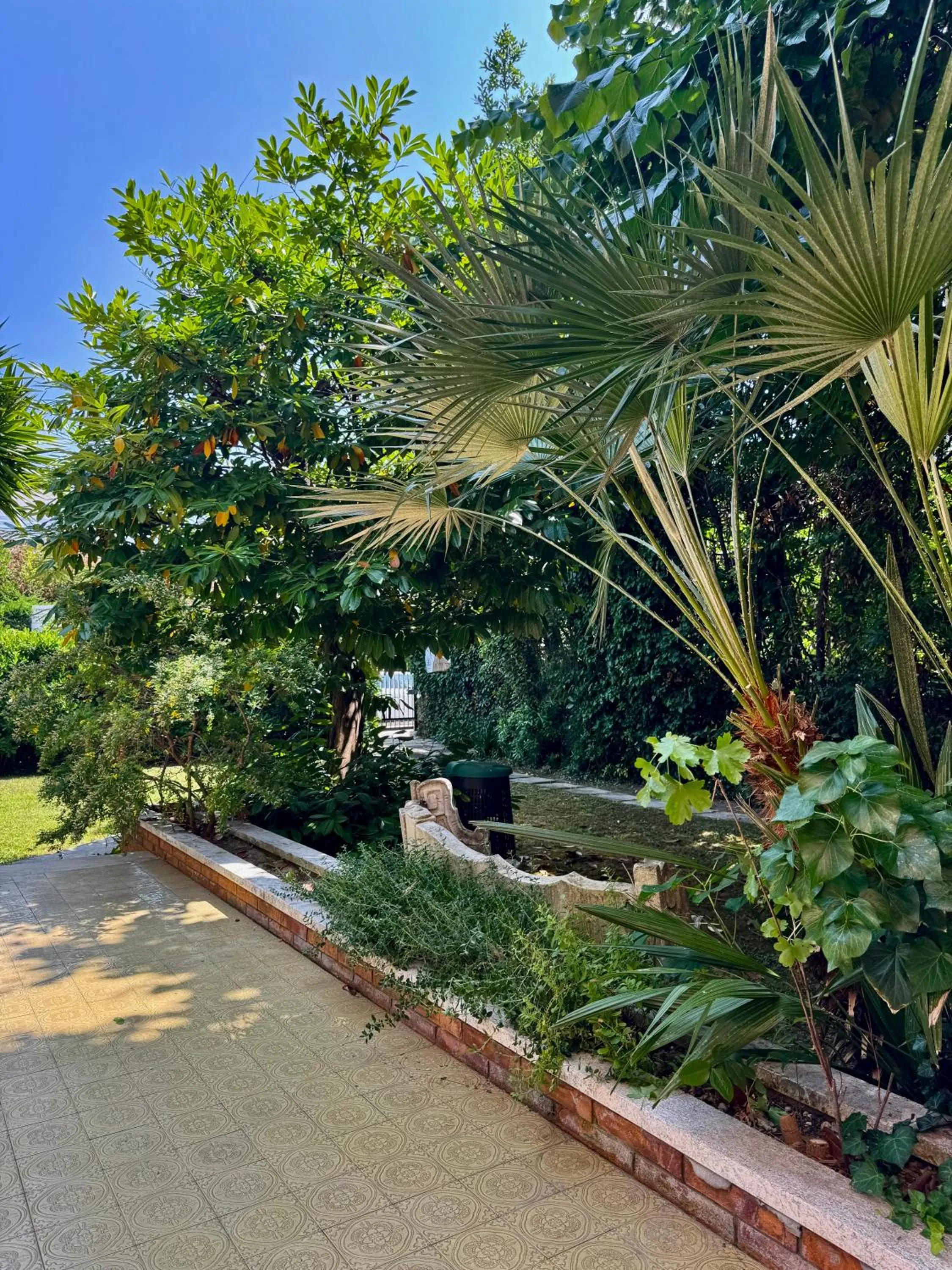 Garden in La Gran Dama