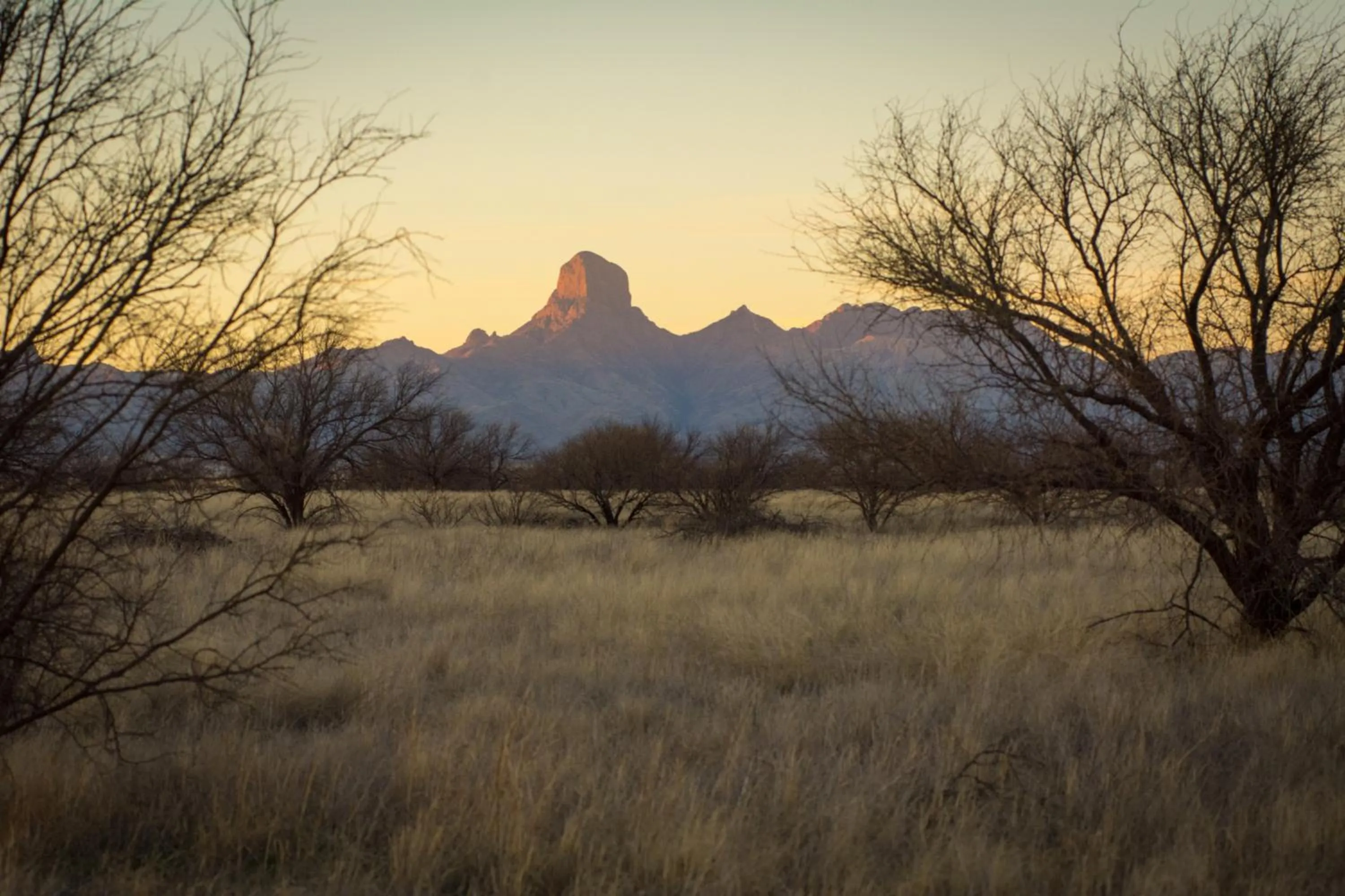 Natural landscape in Rancho de la Osa Guest Ranch