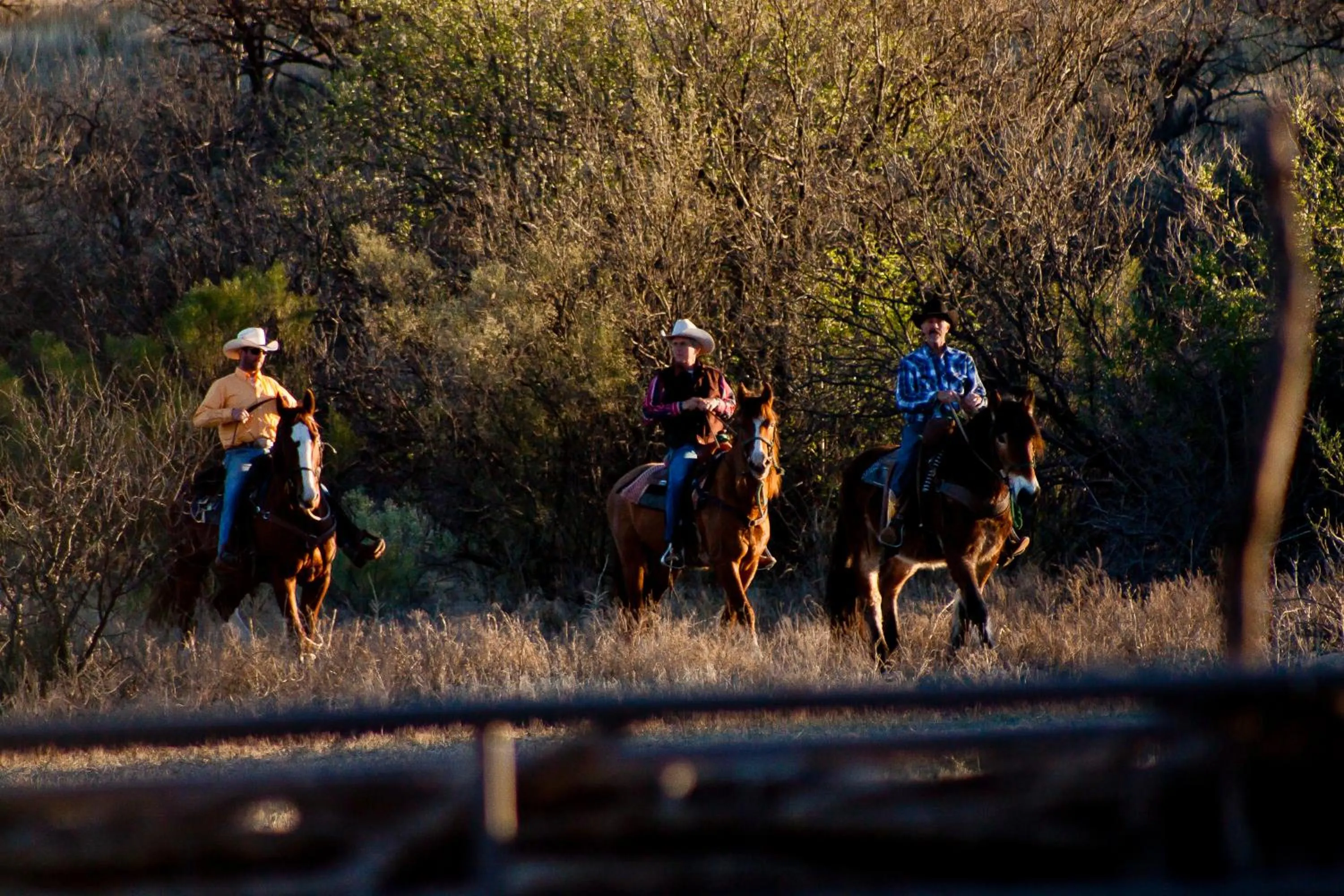 Horse-riding in Rancho de la Osa Guest Ranch