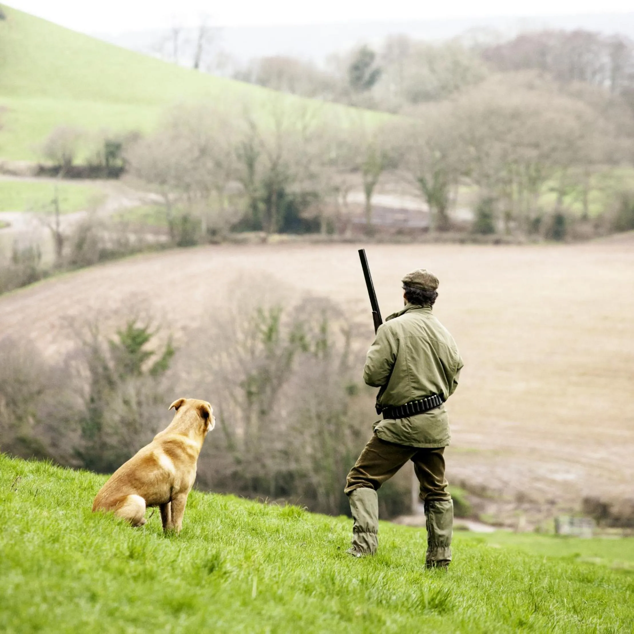 Day in Craigellachie Hotel of Speyside