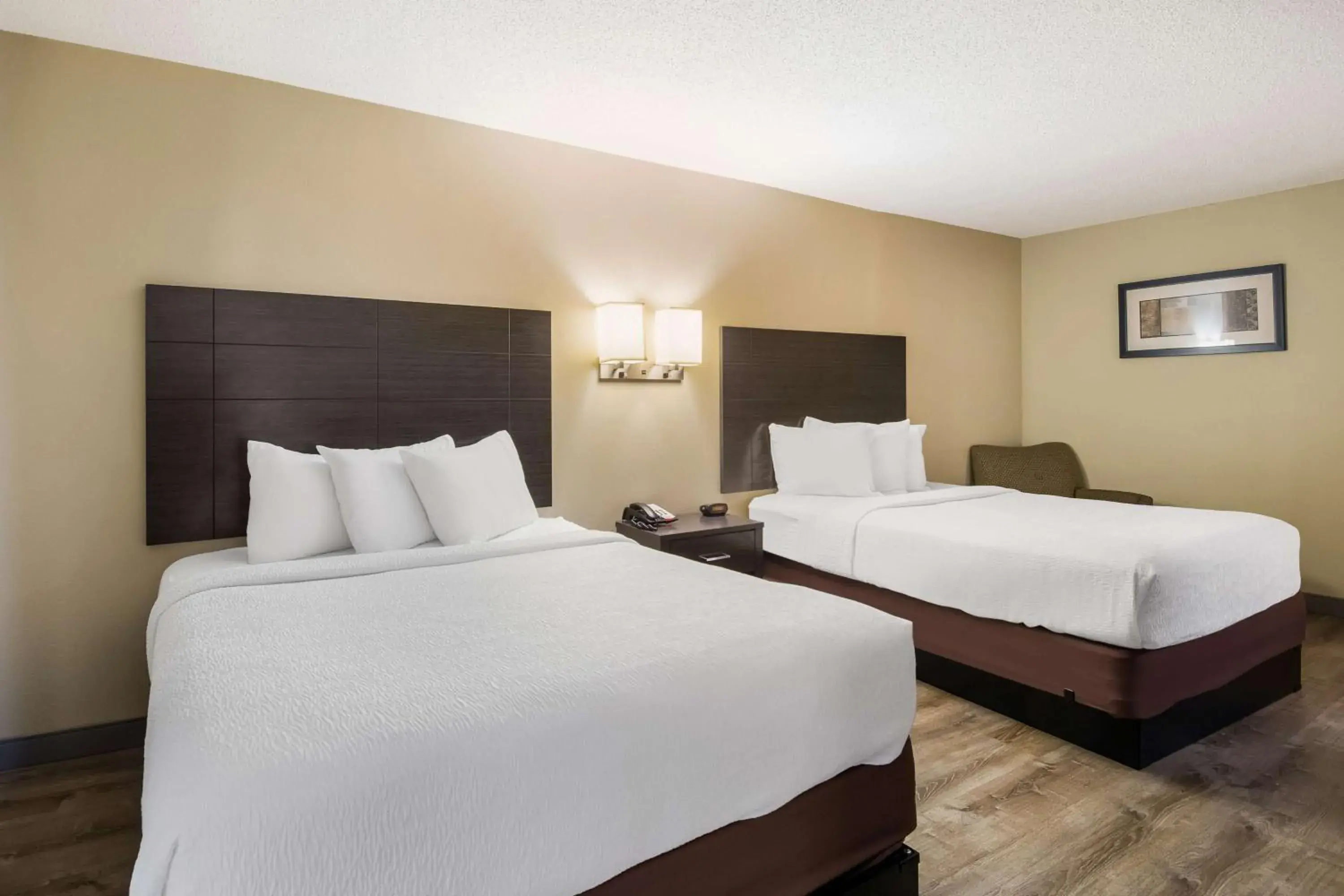 Queen Room with Two Queen Beds - Non-Smoking in SureStay Plus Hotel by Best Western Jackson Queen Room with Two Queen Beds - Non-Smoking in SureStay Plus Hotel by Best Western Jackson