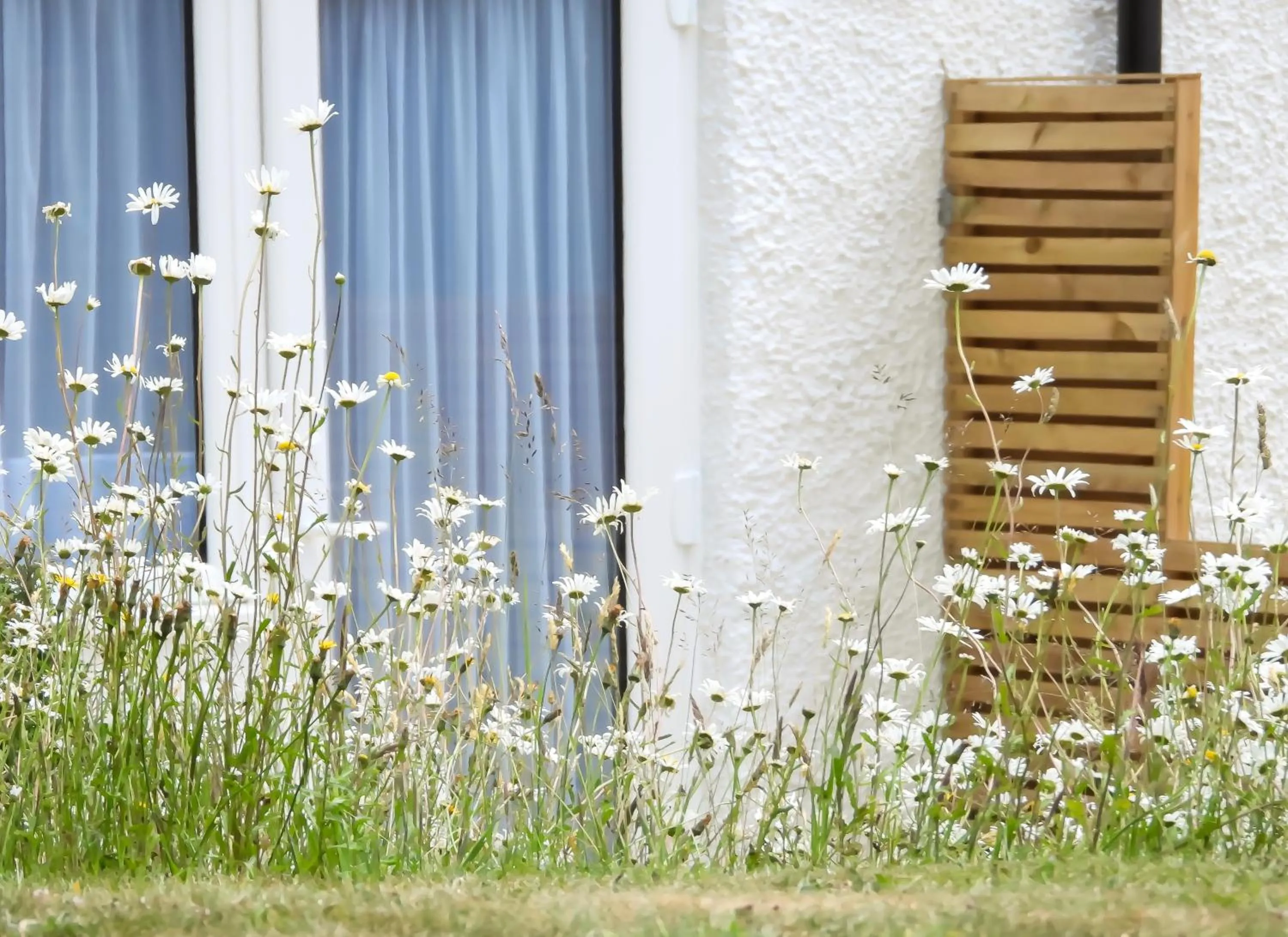 Spring in South Lawn Hotel