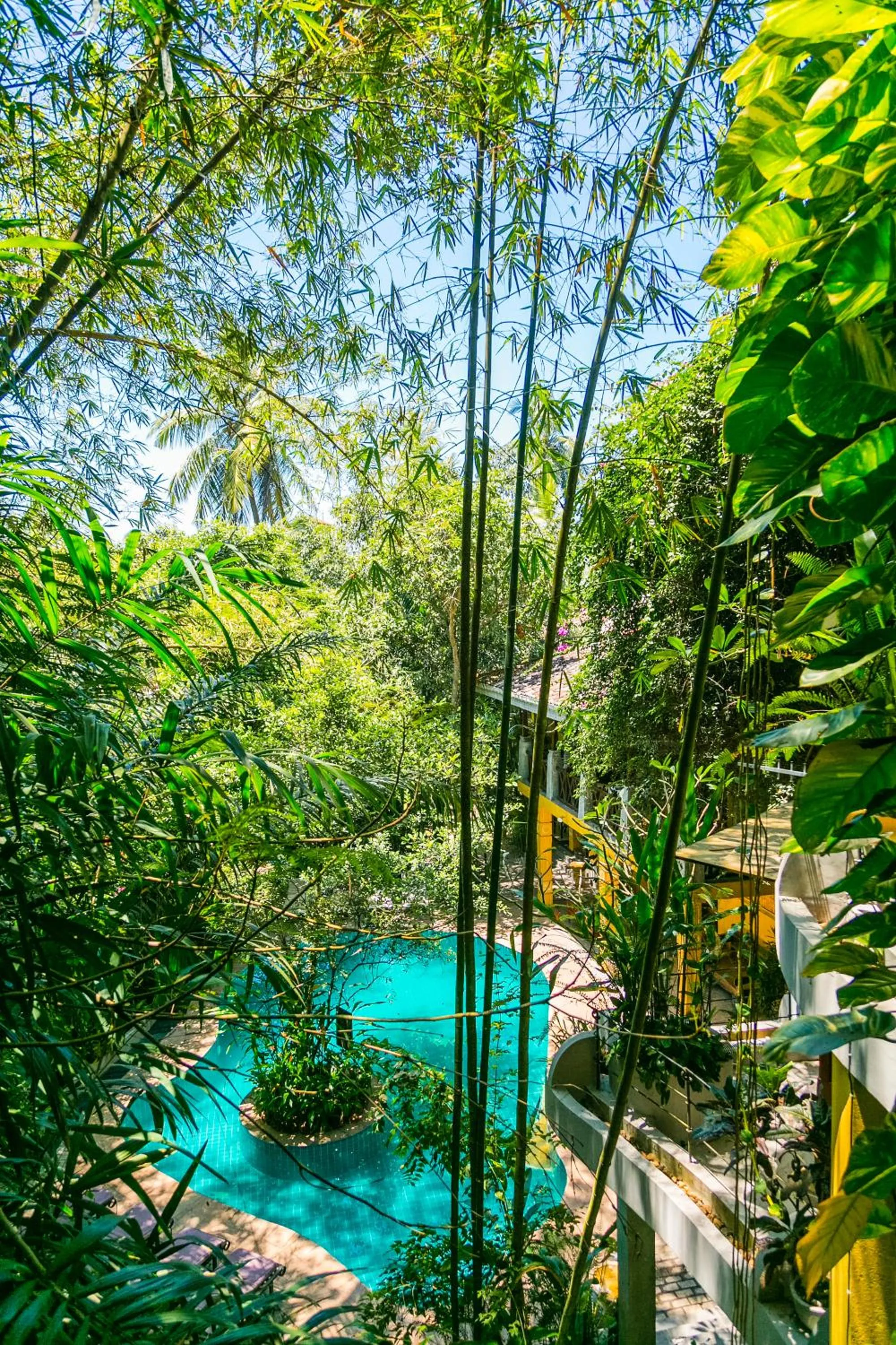 Garden view in Thambapanni Retreat