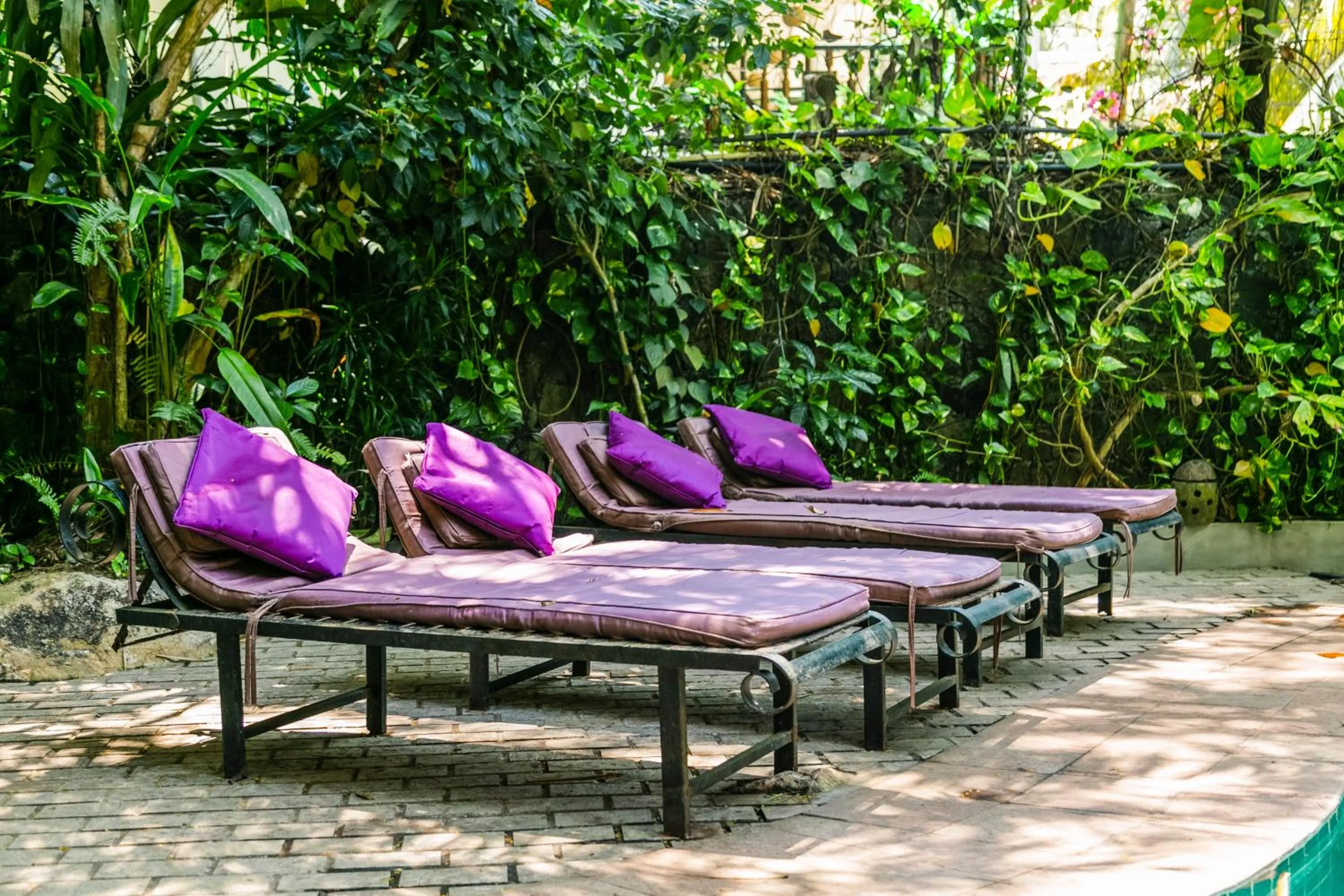 Area and facilities in Thambapanni Retreat