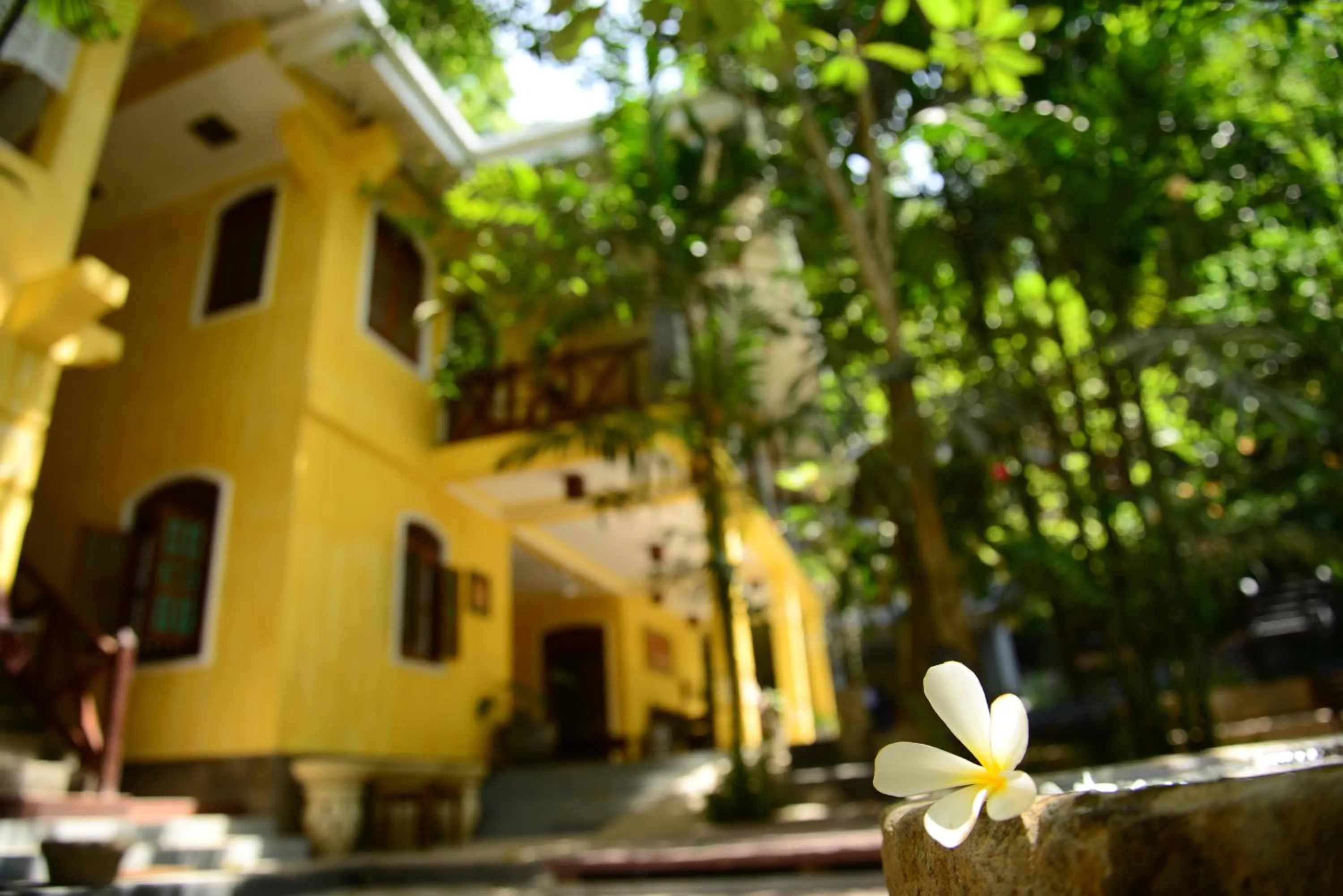 Area and facilities in Thambapanni Retreat