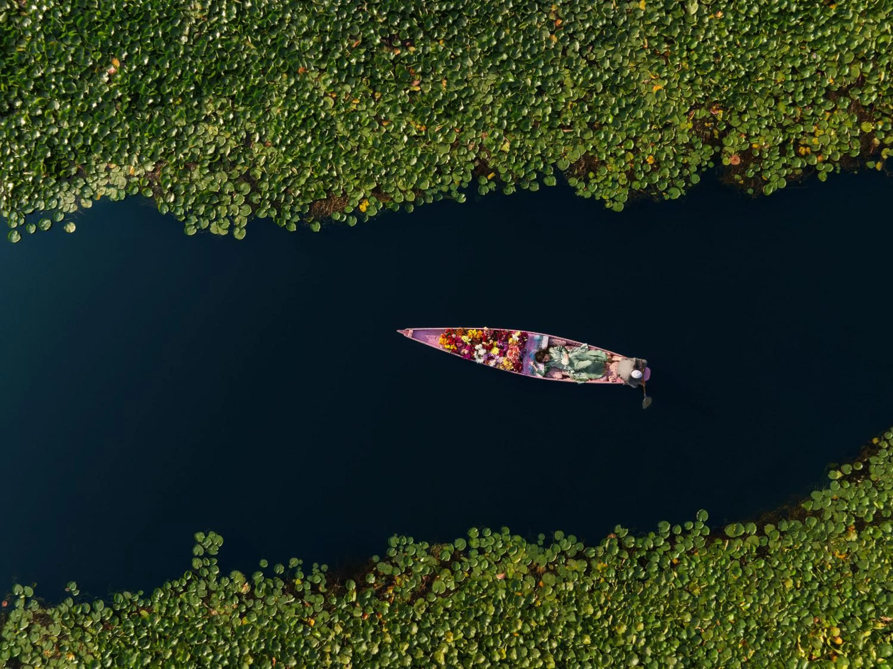 Natural landscape in Taj Dal View Srinagar