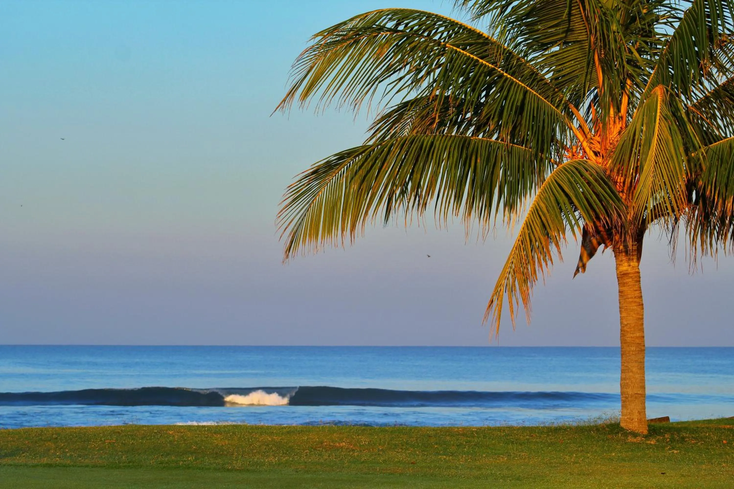 Golfcourse in Suite San Juan 135 Gran Pacifica Resort