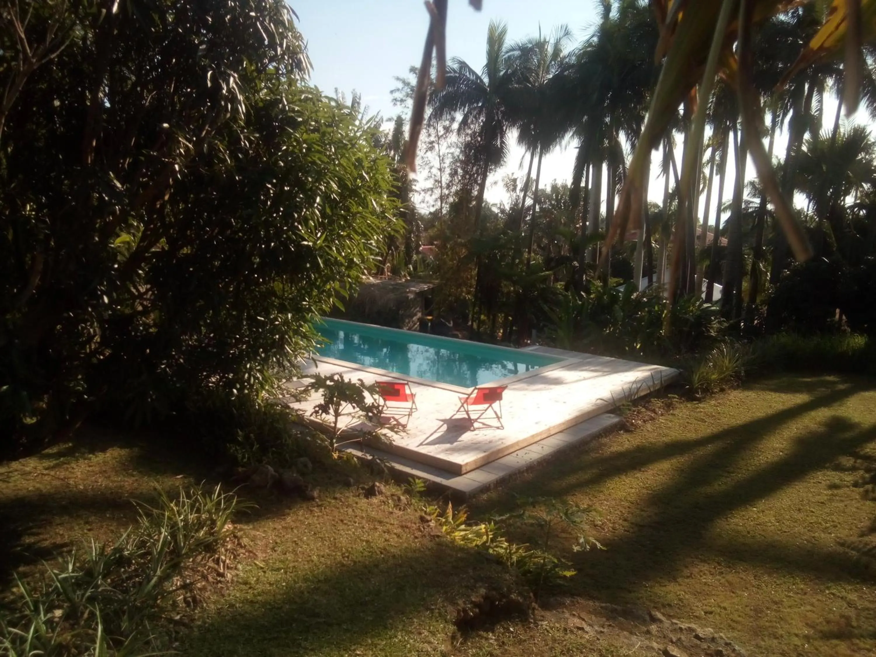 Pool view in Poivre et Citronnelle