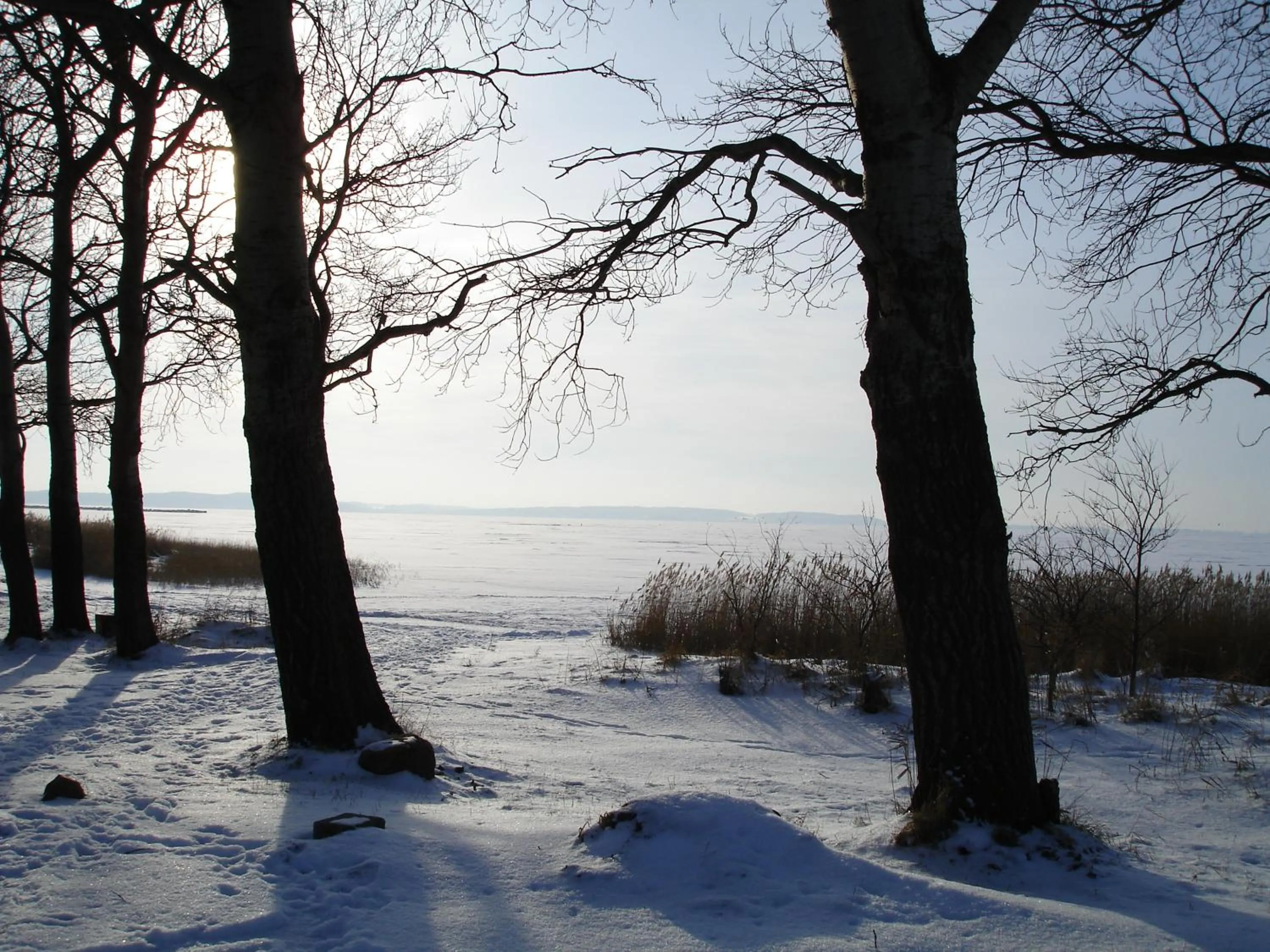 Off site in H.W.S. Hotel Der Wilde Schwan