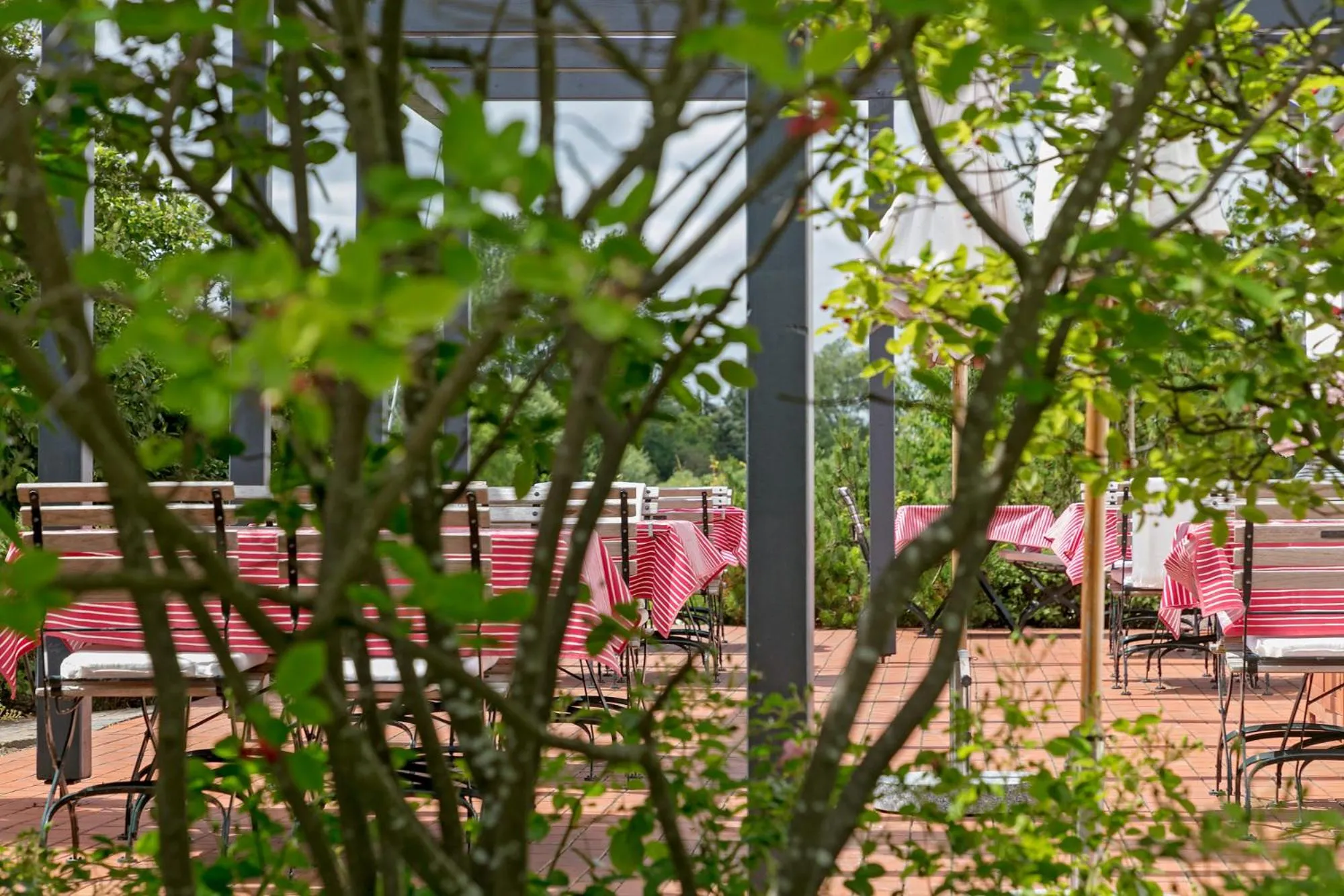 Facade/entrance in H.W.S. Hotel Der Wilde Schwan