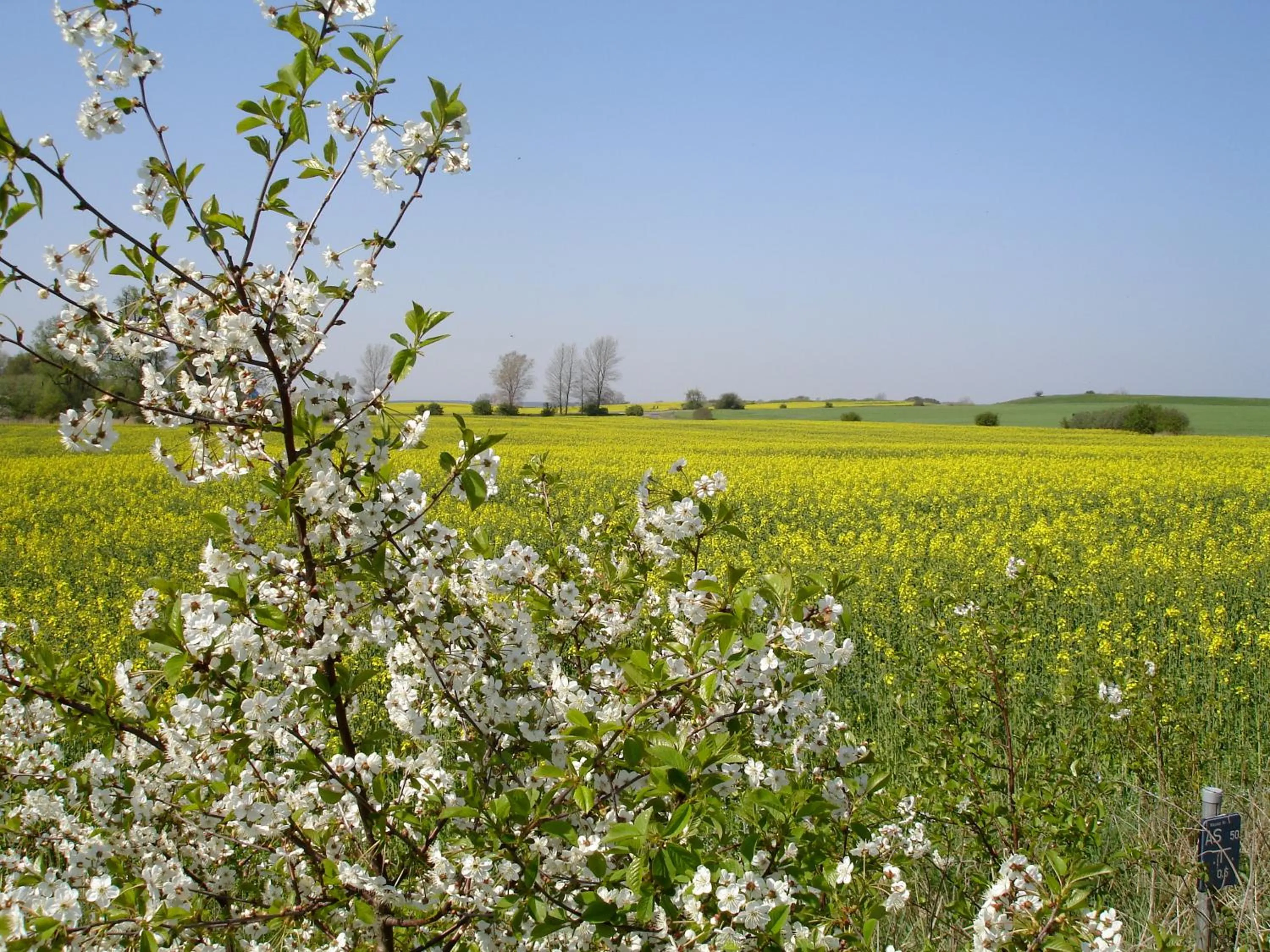 Spring in H.W.S. Hotel Der Wilde Schwan